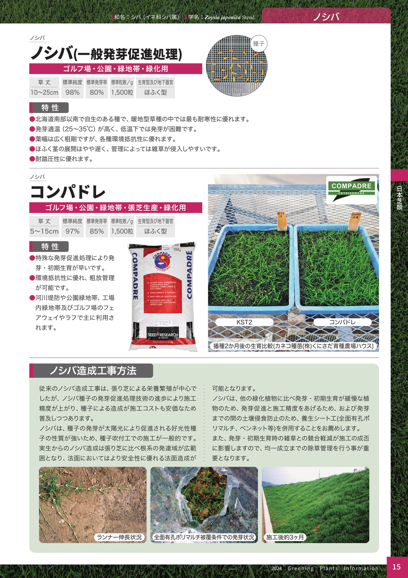 Page 17（17ページ目）