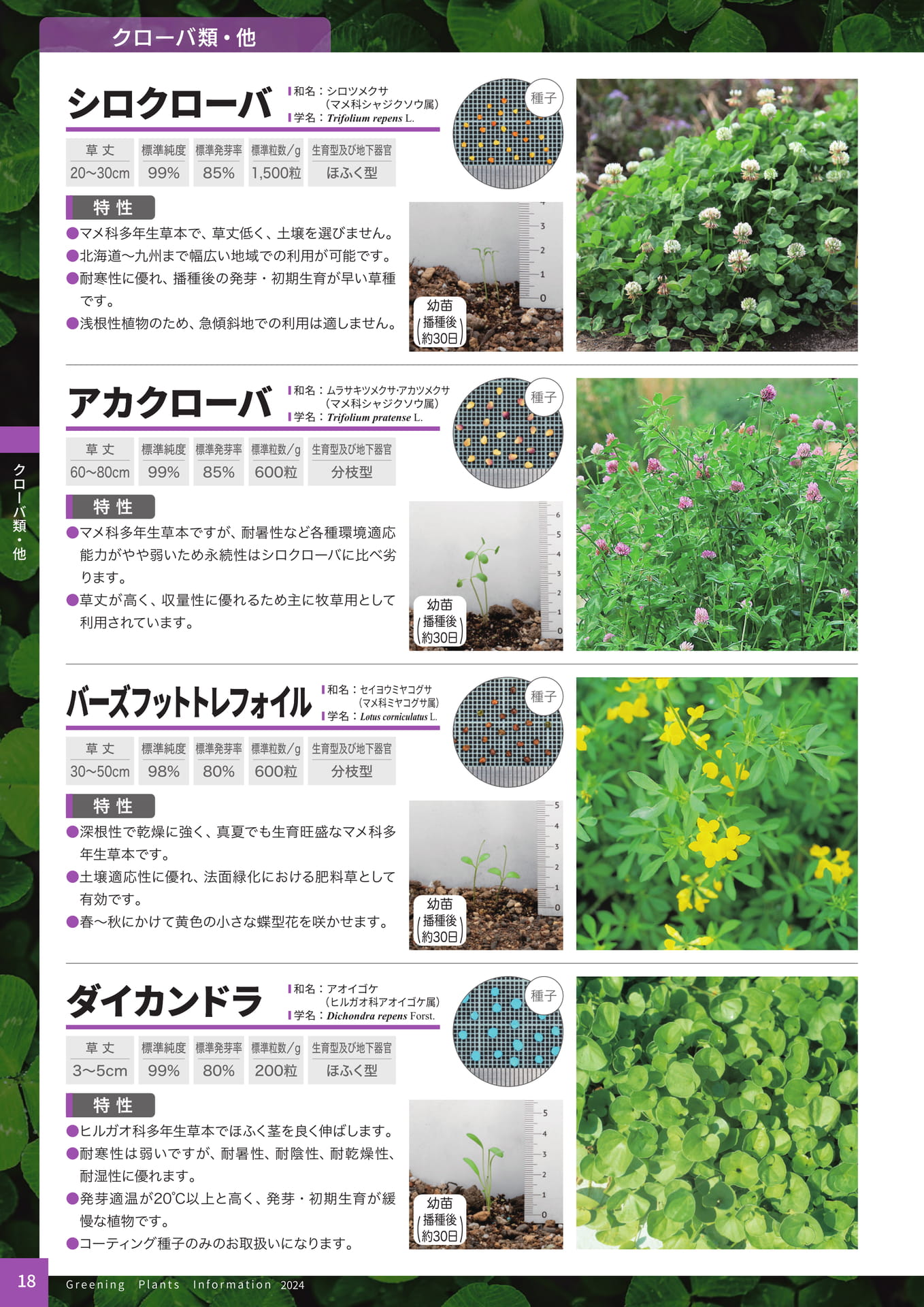 Page 20（20ページ目）