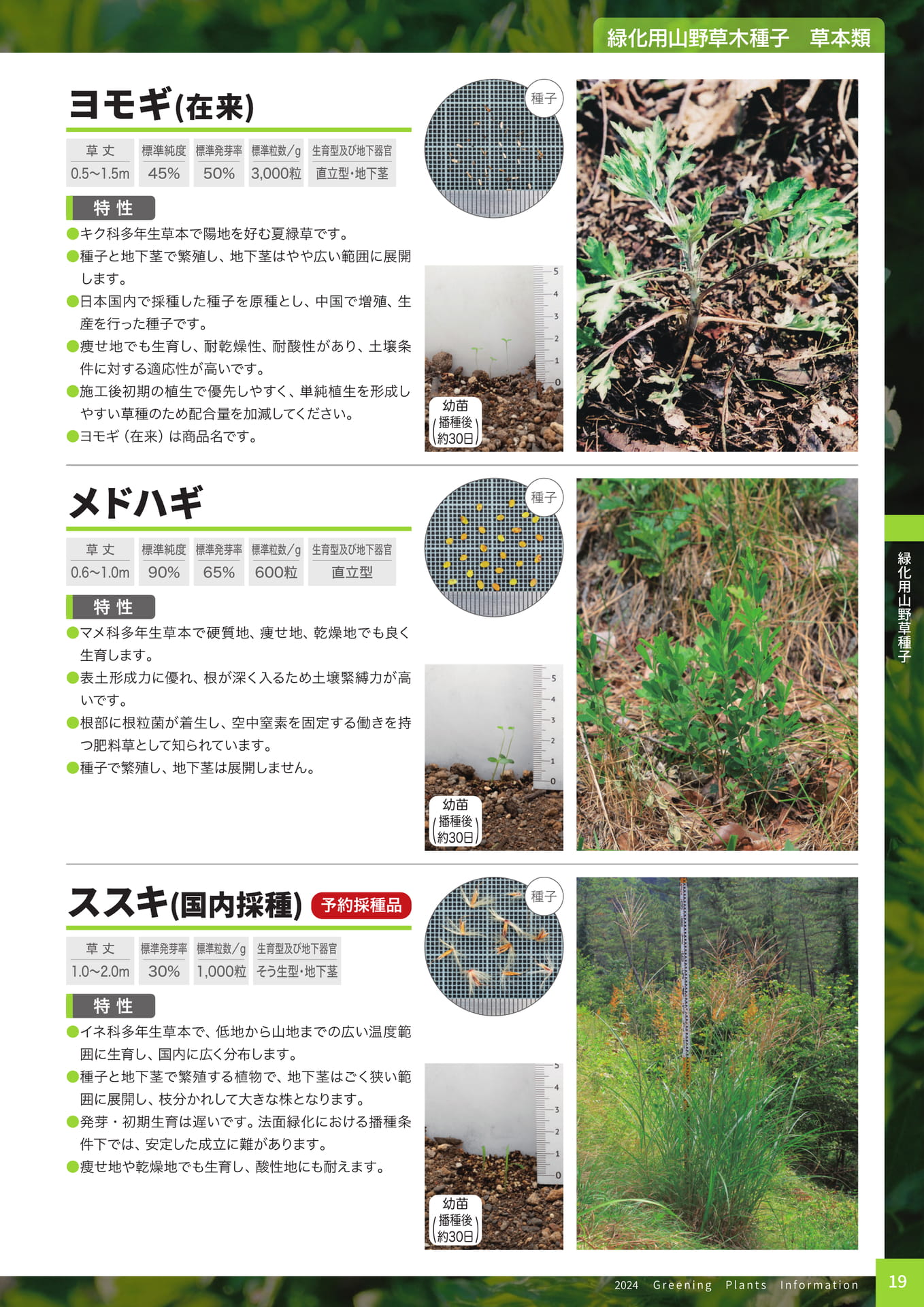 Page 21（21ページ目）