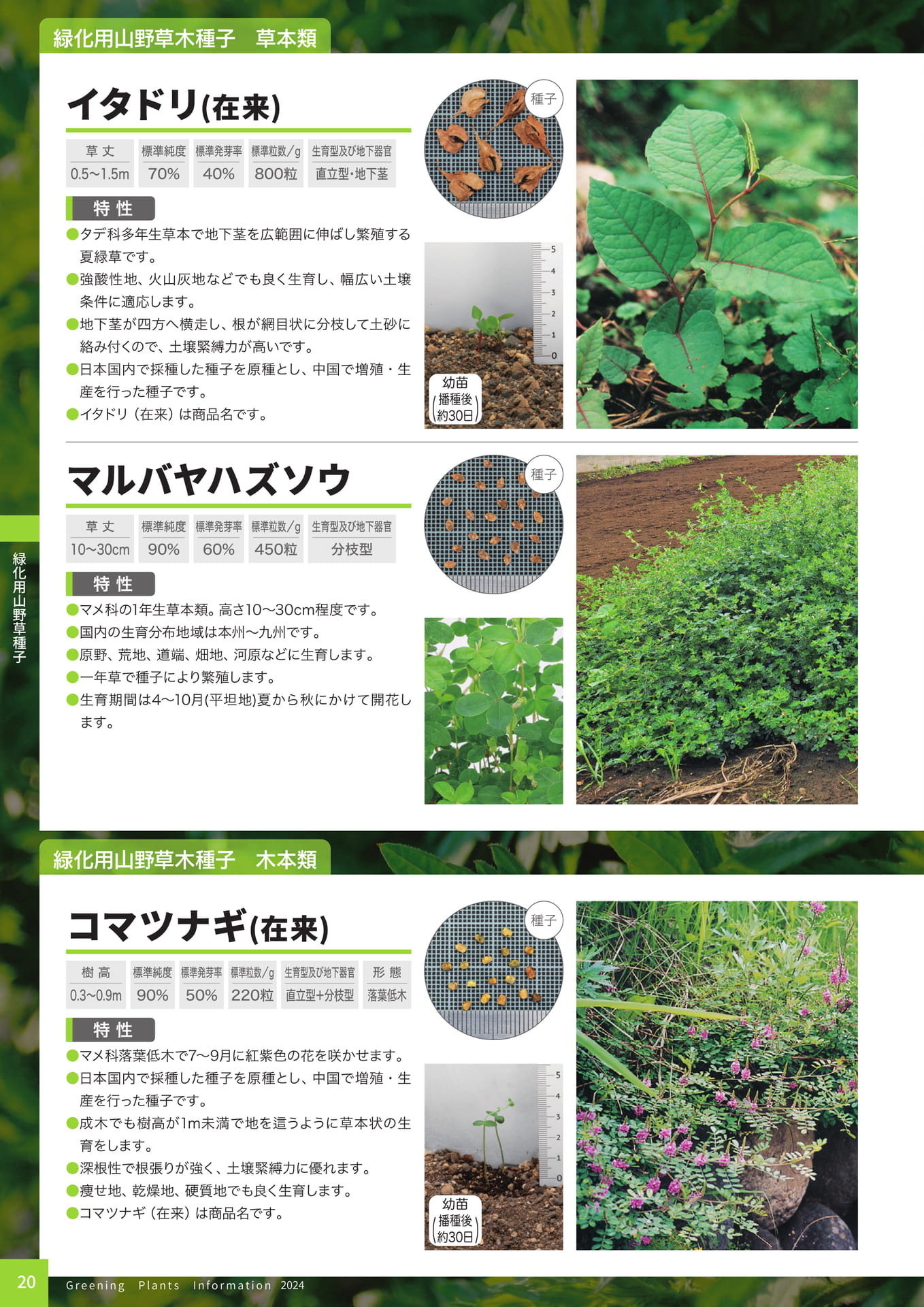 Page 22（22ページ目）