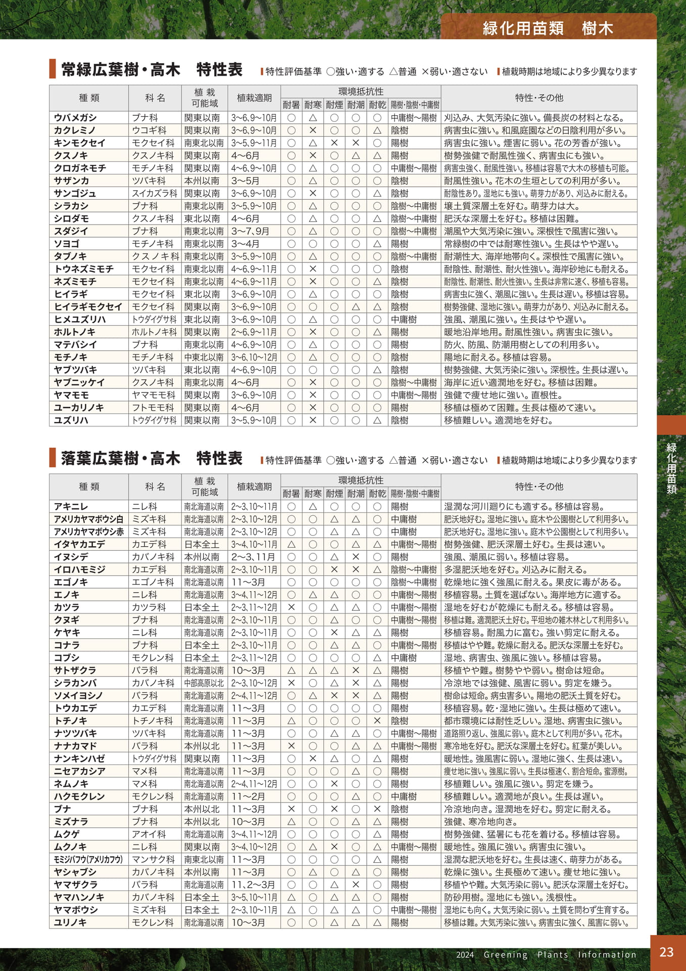 Page 25（25ページ目）