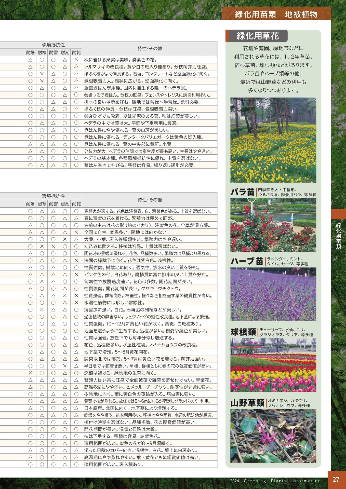 Page 29（29ページ目）