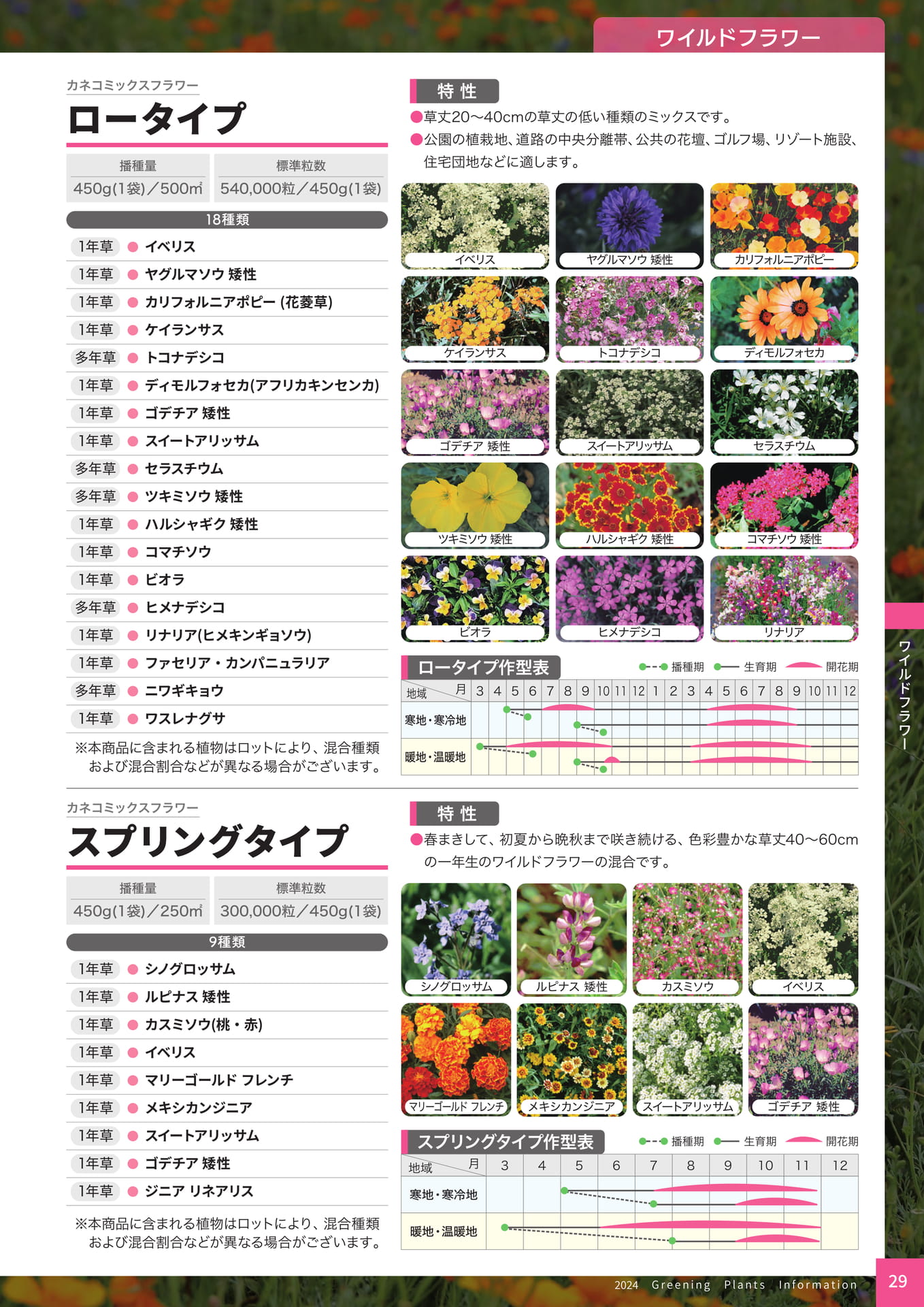 Page 31（31ページ目）