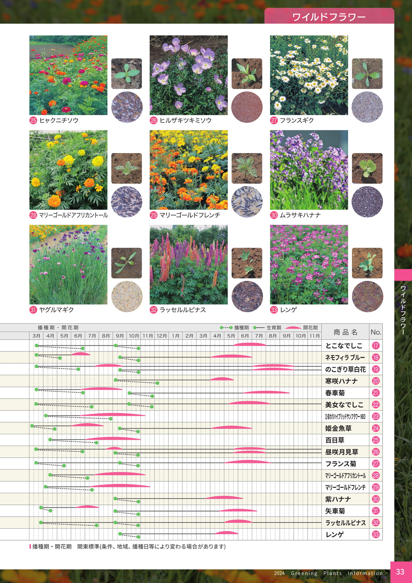 Page 35（35ページ目）