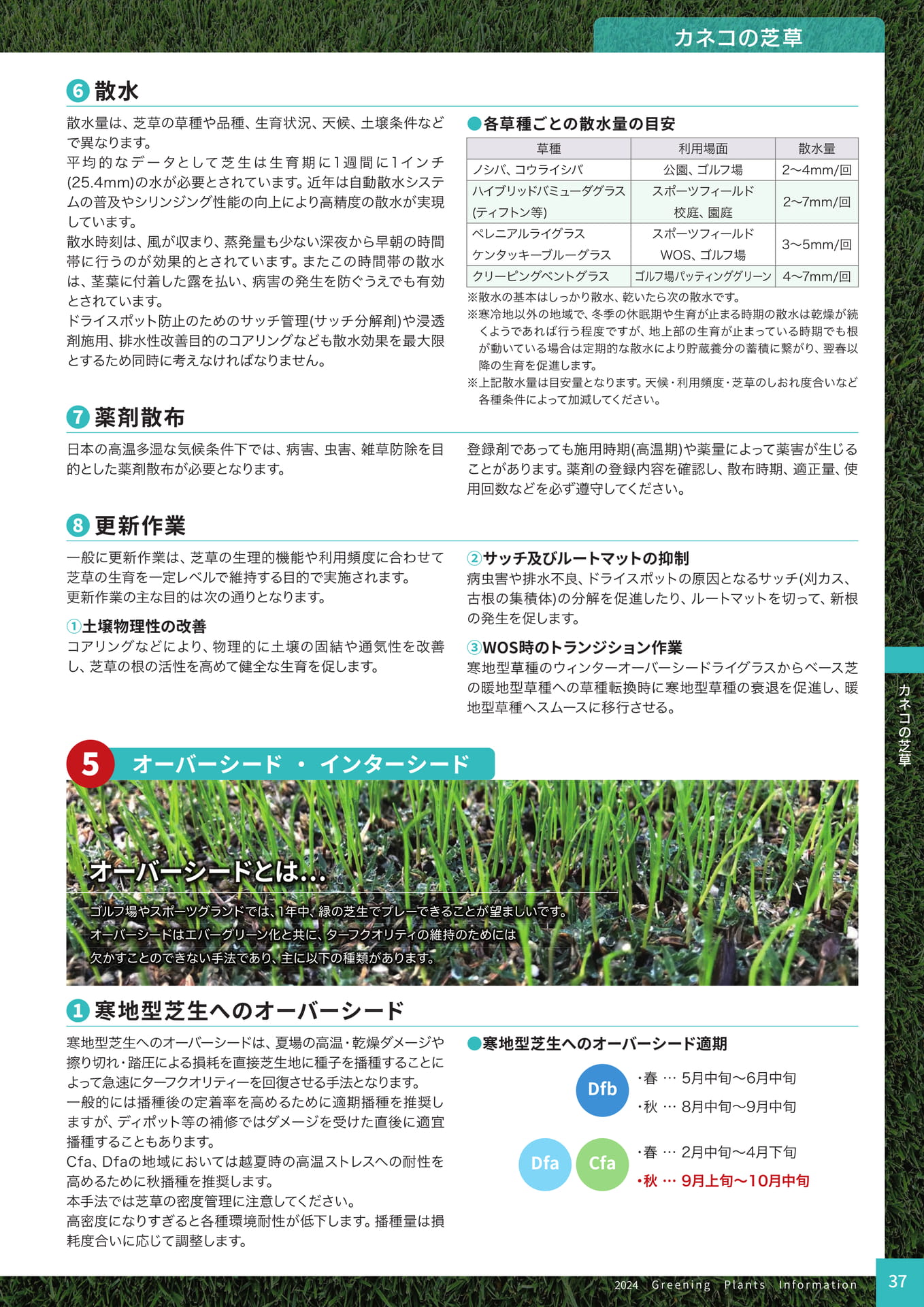 Page 39（39ページ目）