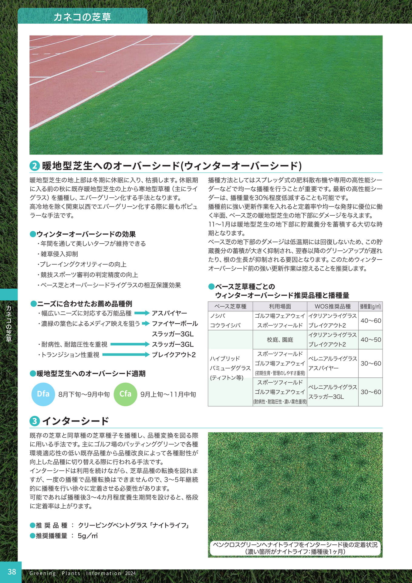 Page 40（40ページ目）