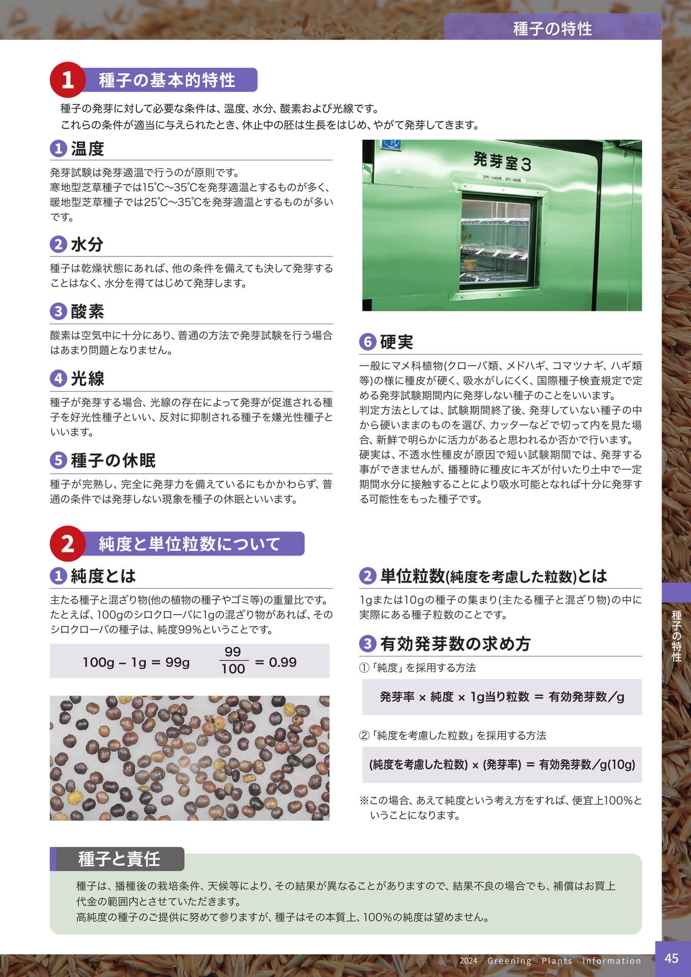 Page 47（47ページ目）