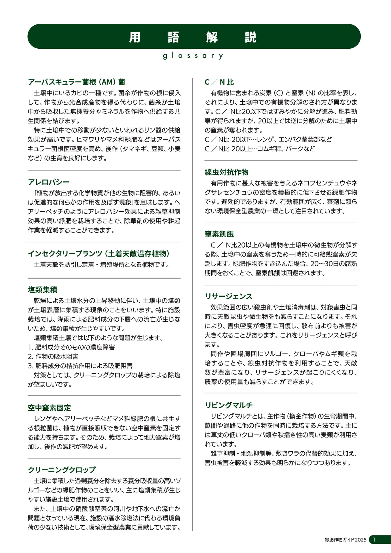 Page 02（3ページ目）
