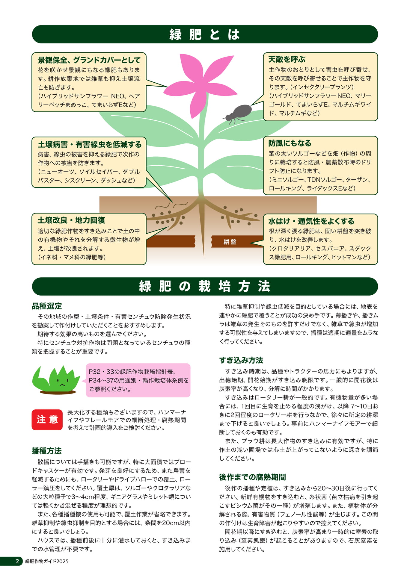 Page 03（4ページ目）