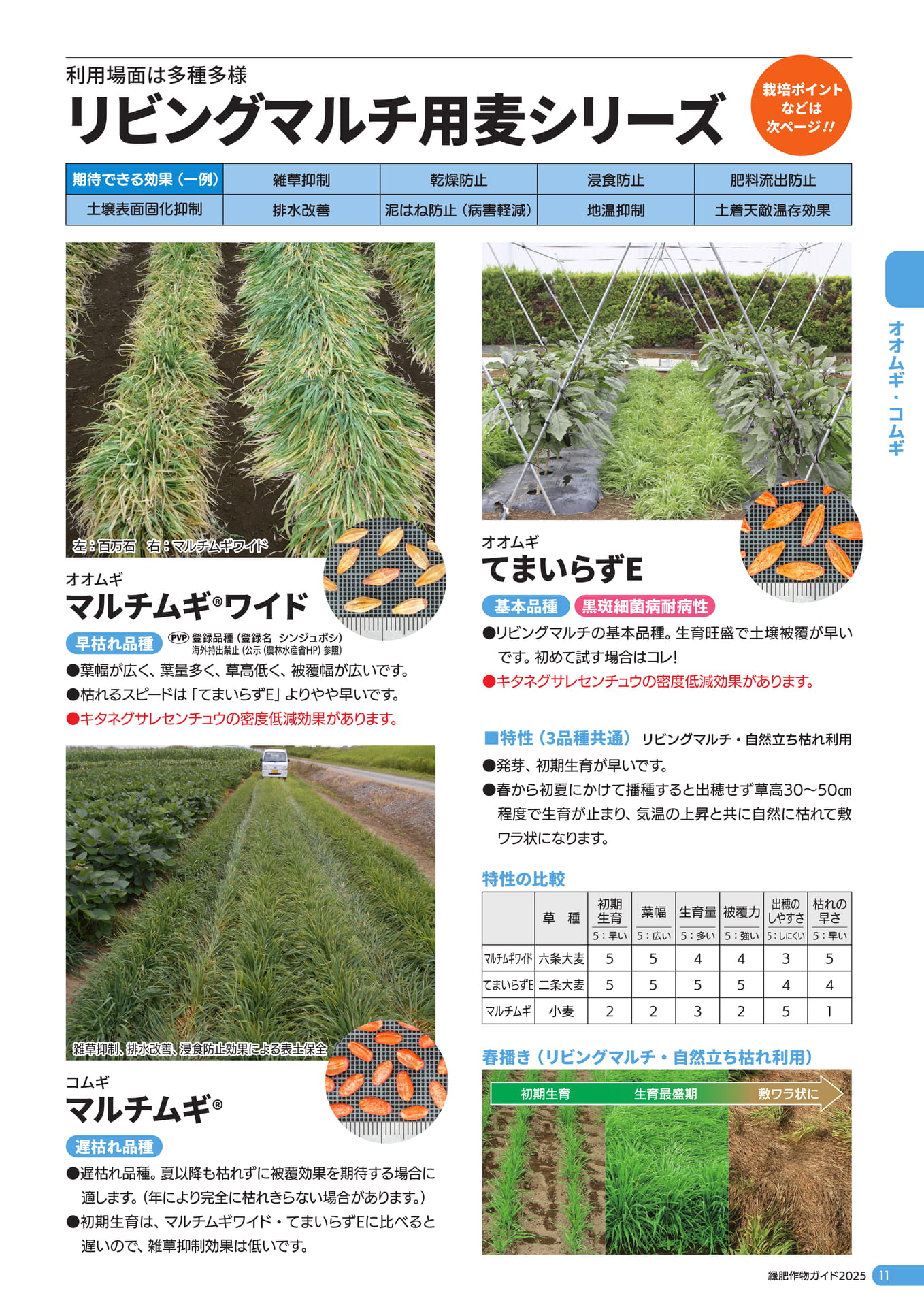 Page 12（13ページ目）