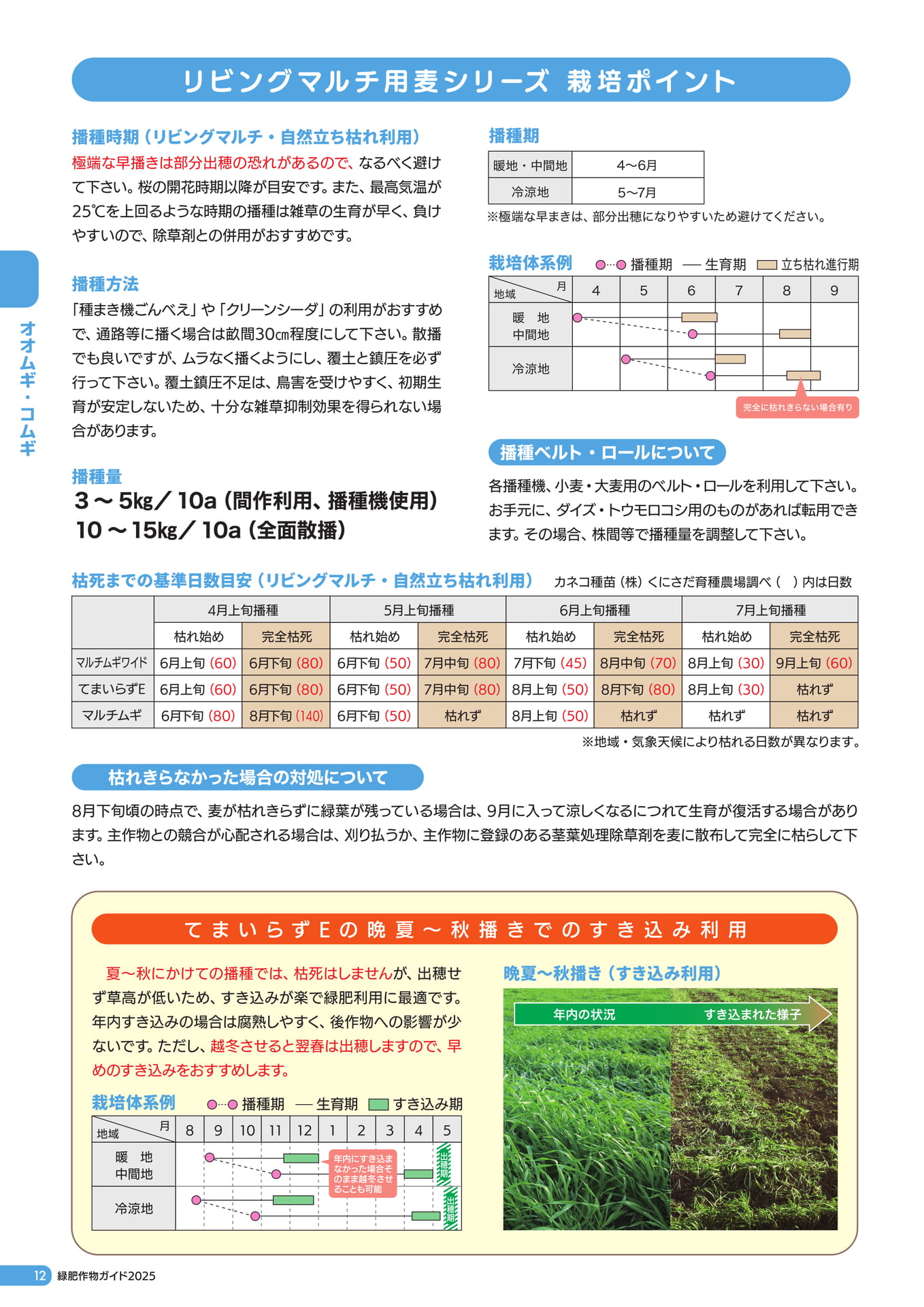 Page 13（14ページ目）