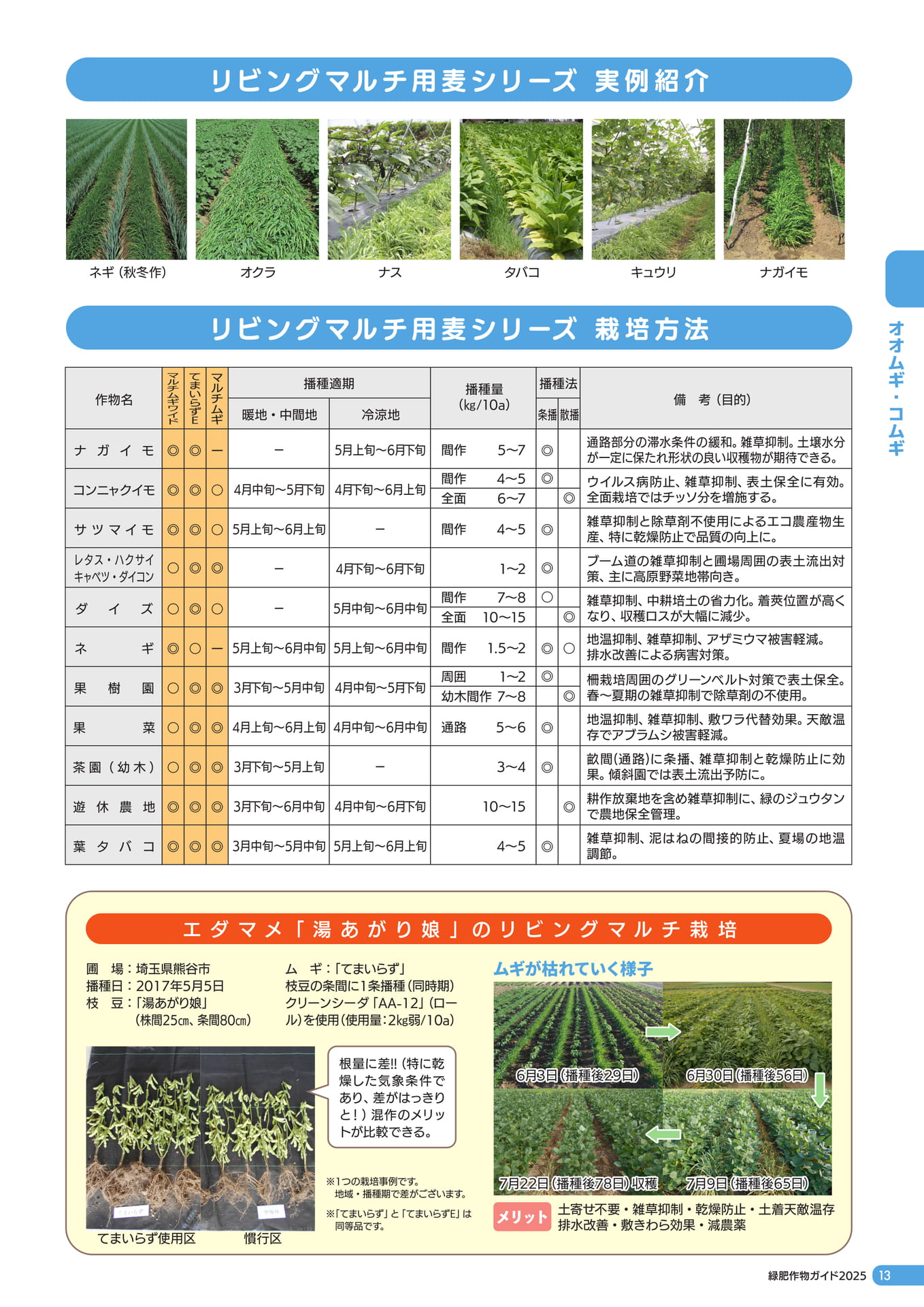 Page 14（15ページ目）