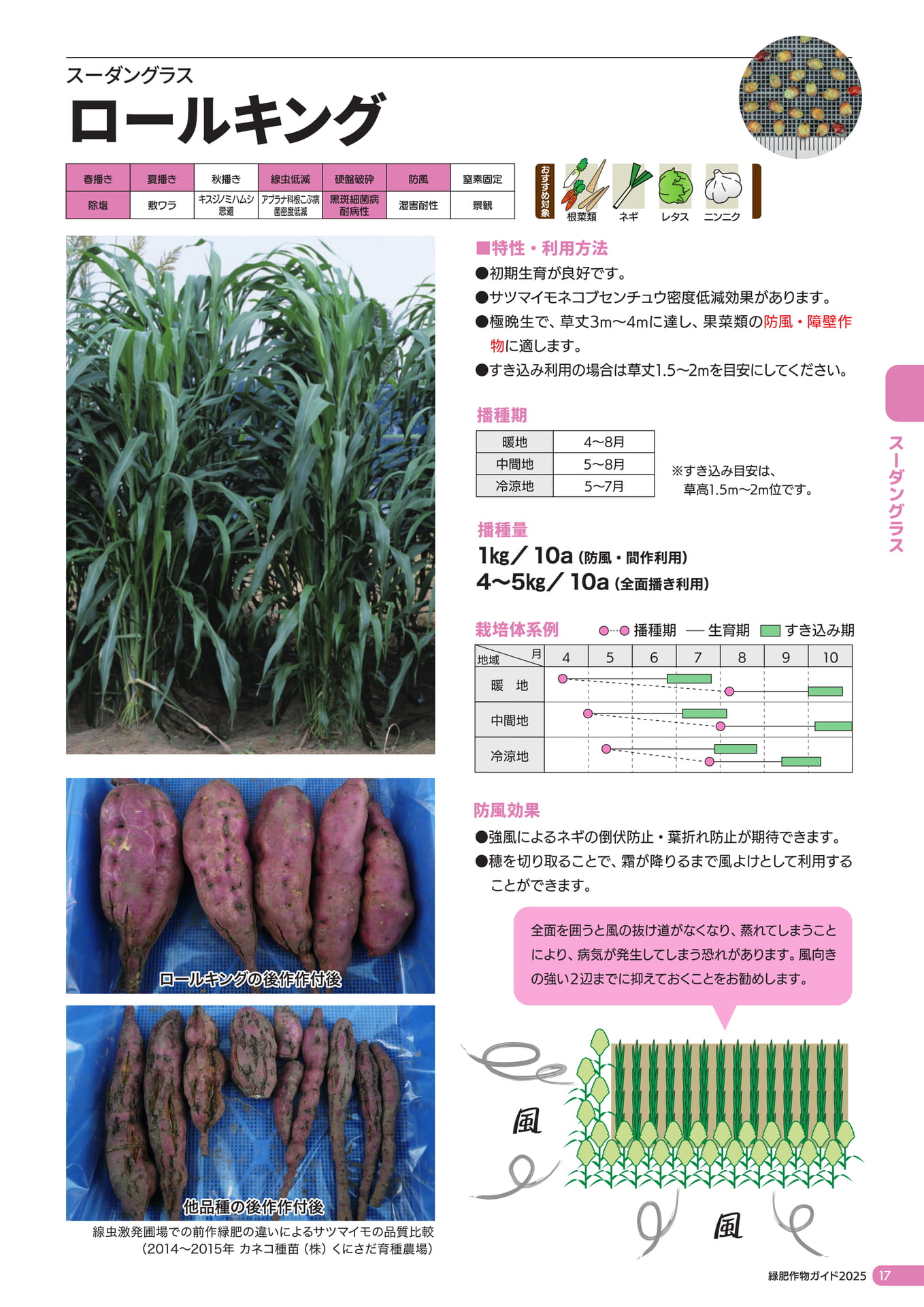 Page 18（19ページ目）