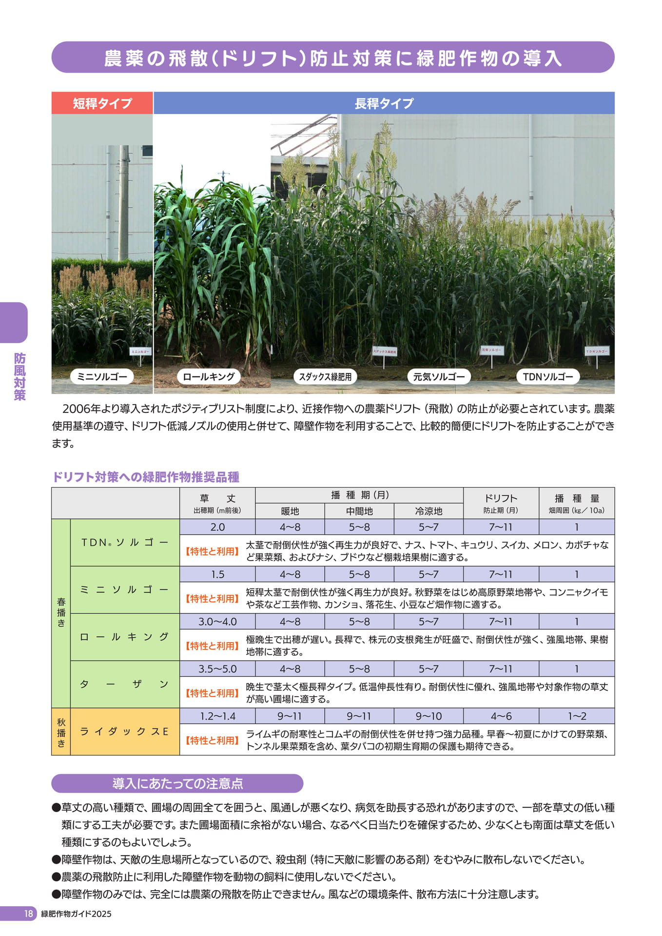 Page 19（20ページ目）