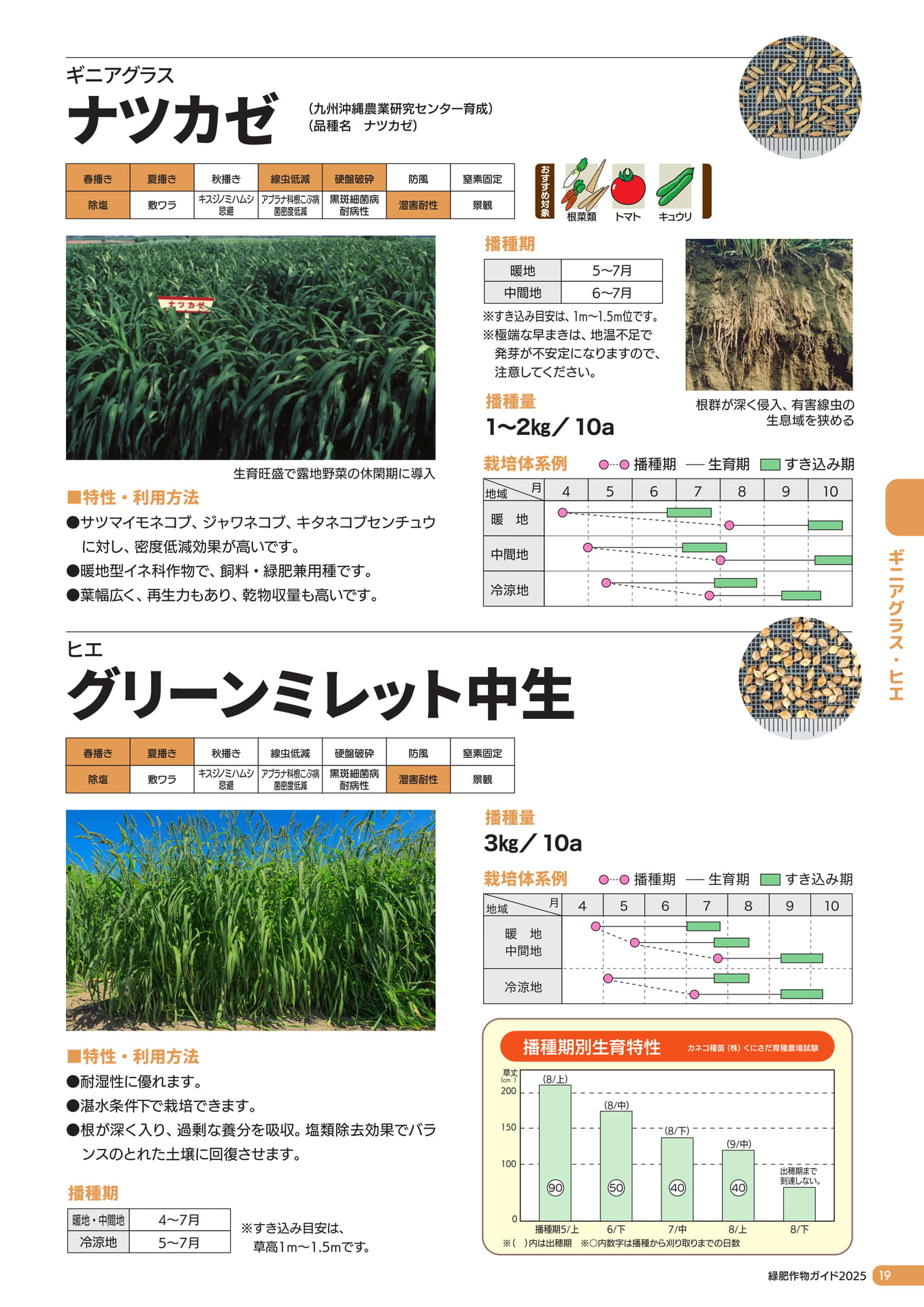 Page 20（21ページ目）