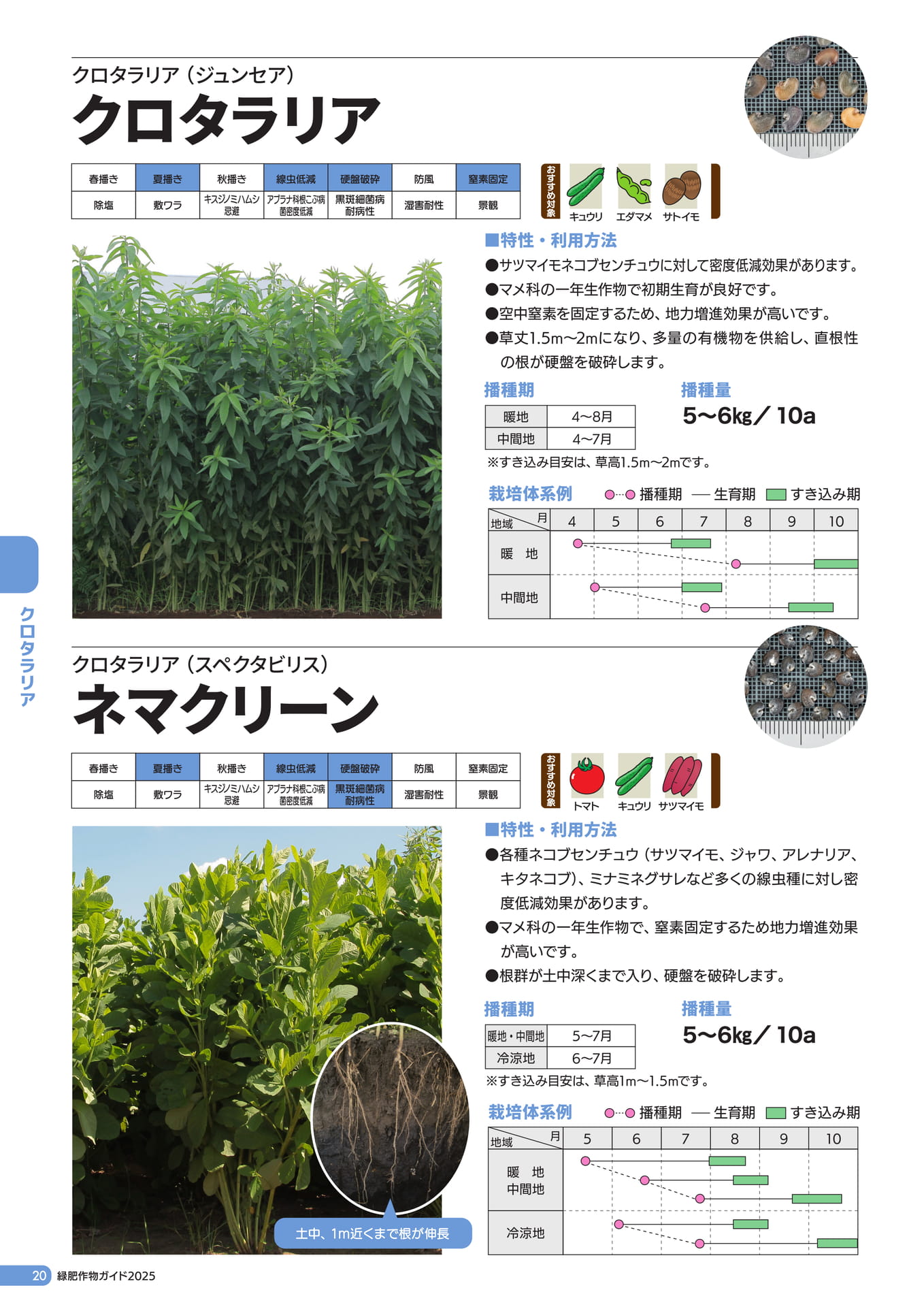 Page 21（22ページ目）
