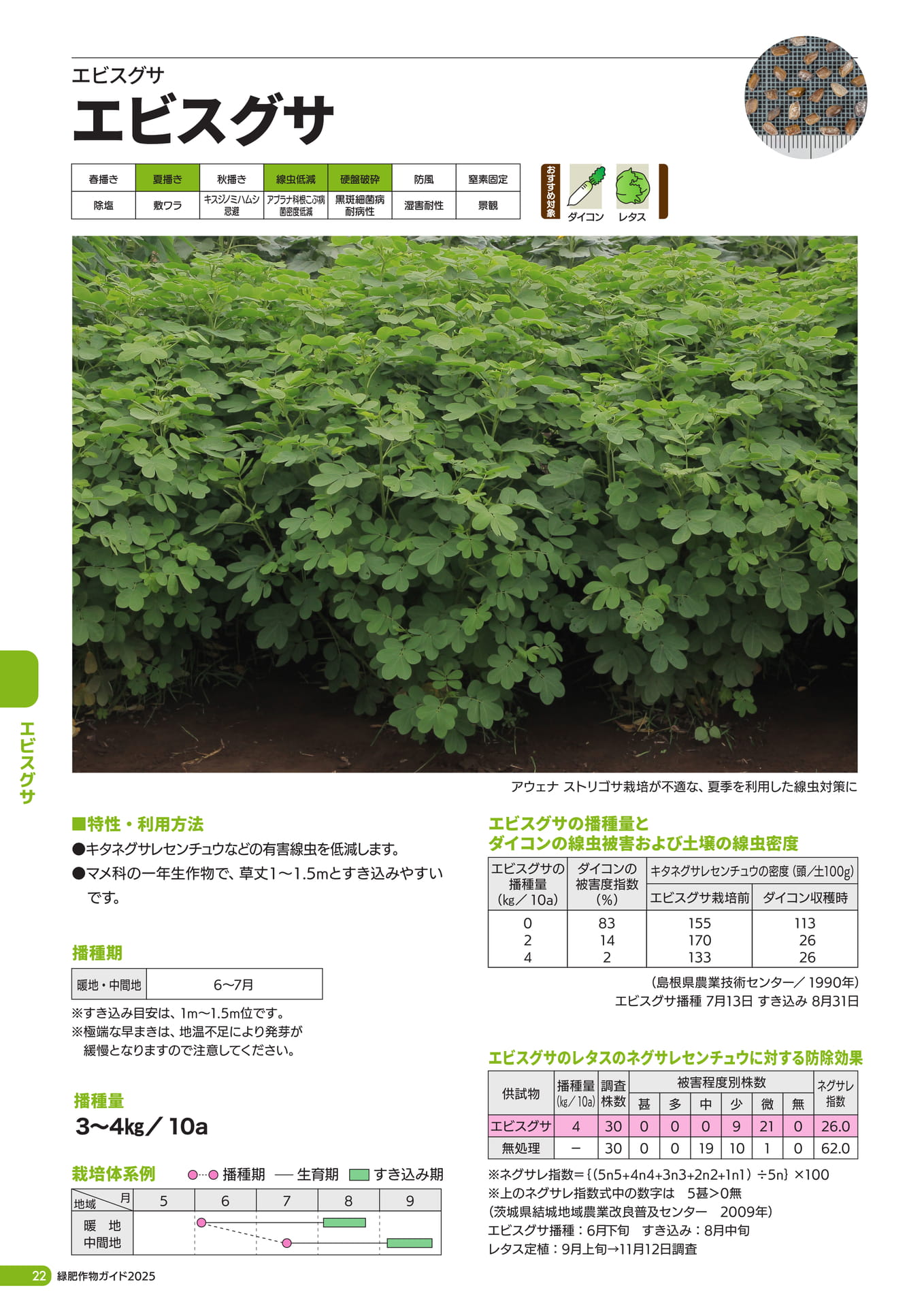 Page 23（24ページ目）