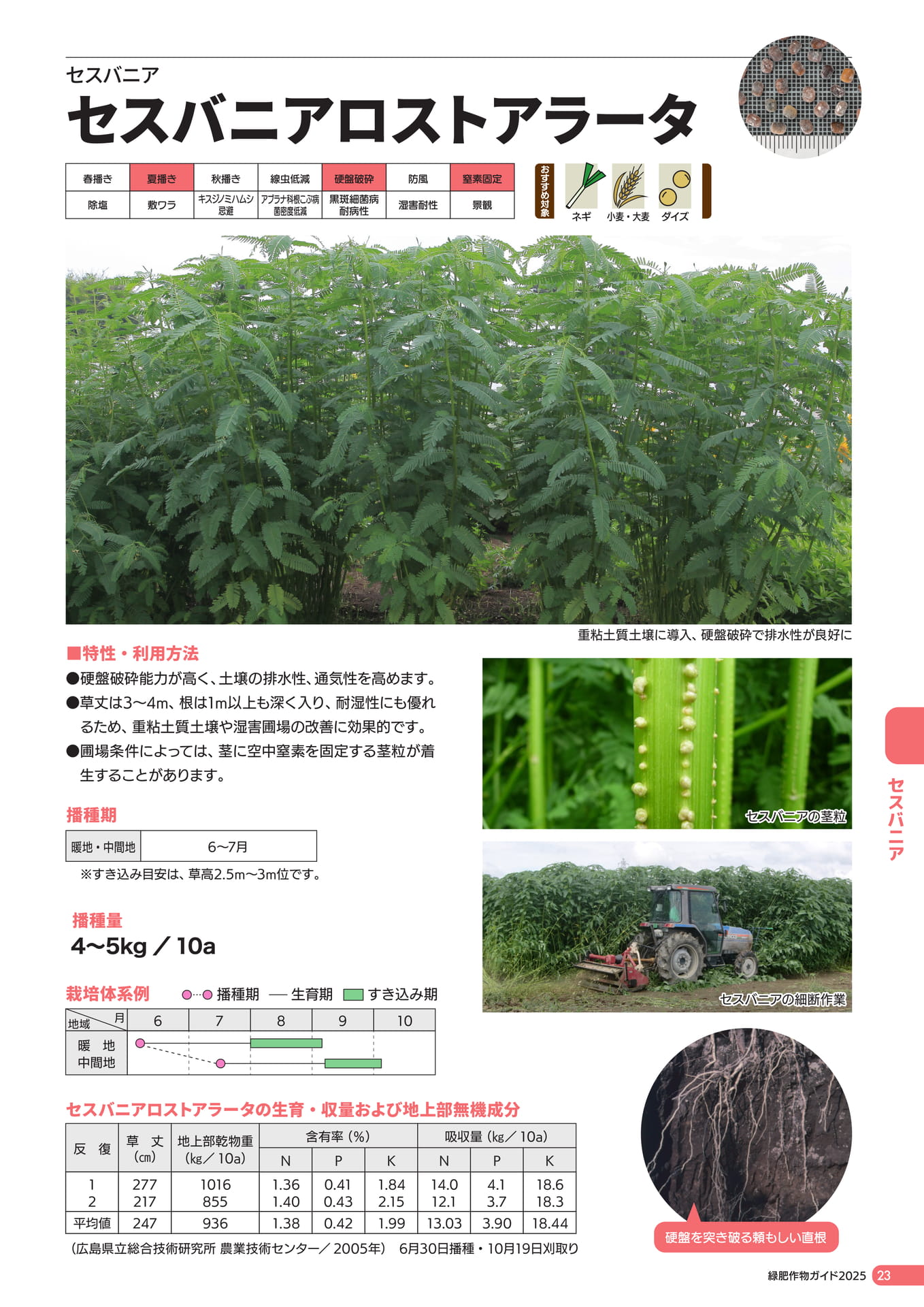 Page 24（25ページ目）