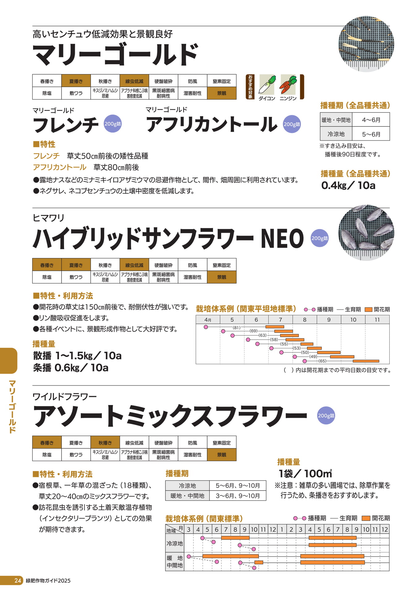 Page 25（26ページ目）