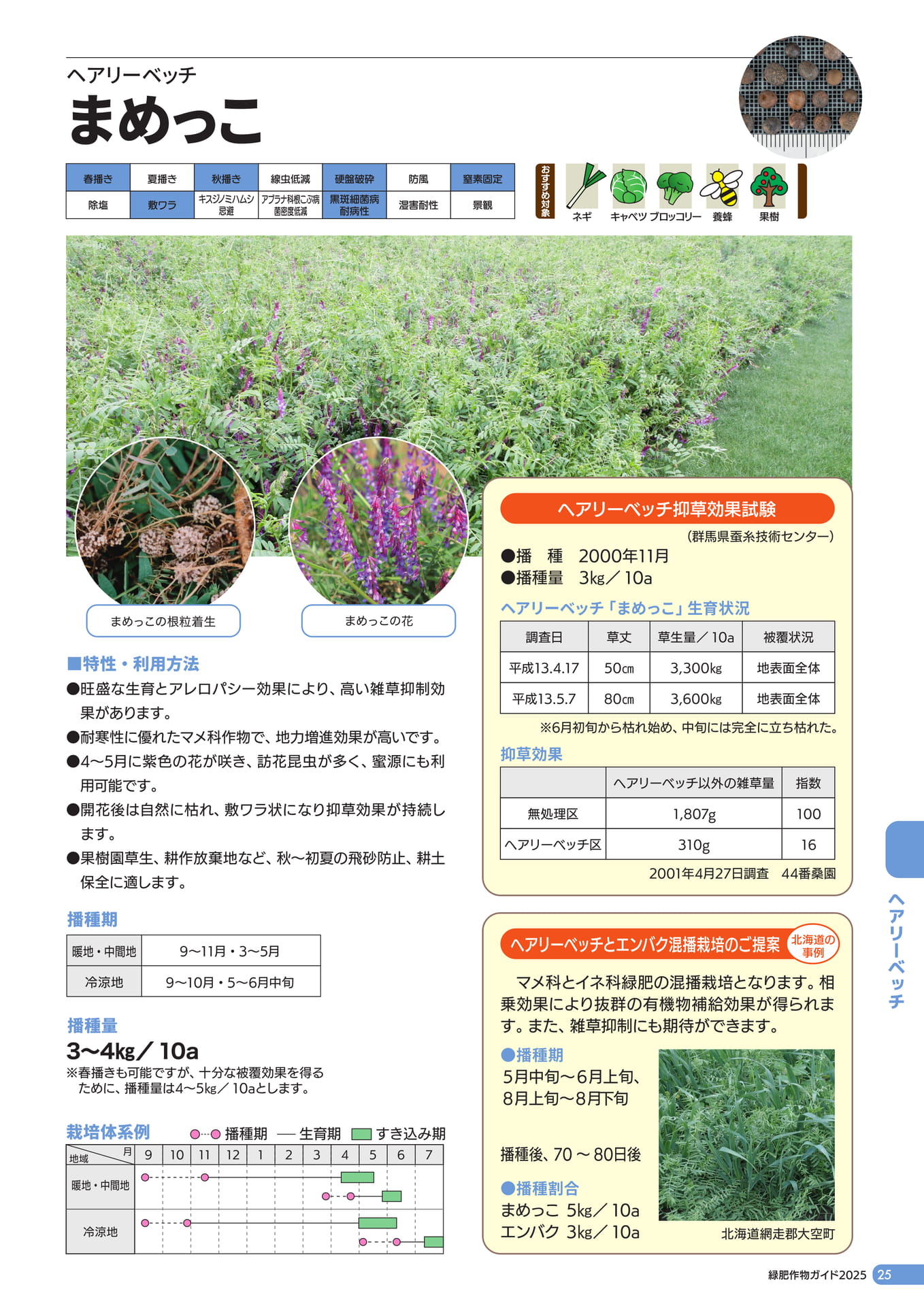 Page 26（27ページ目）
