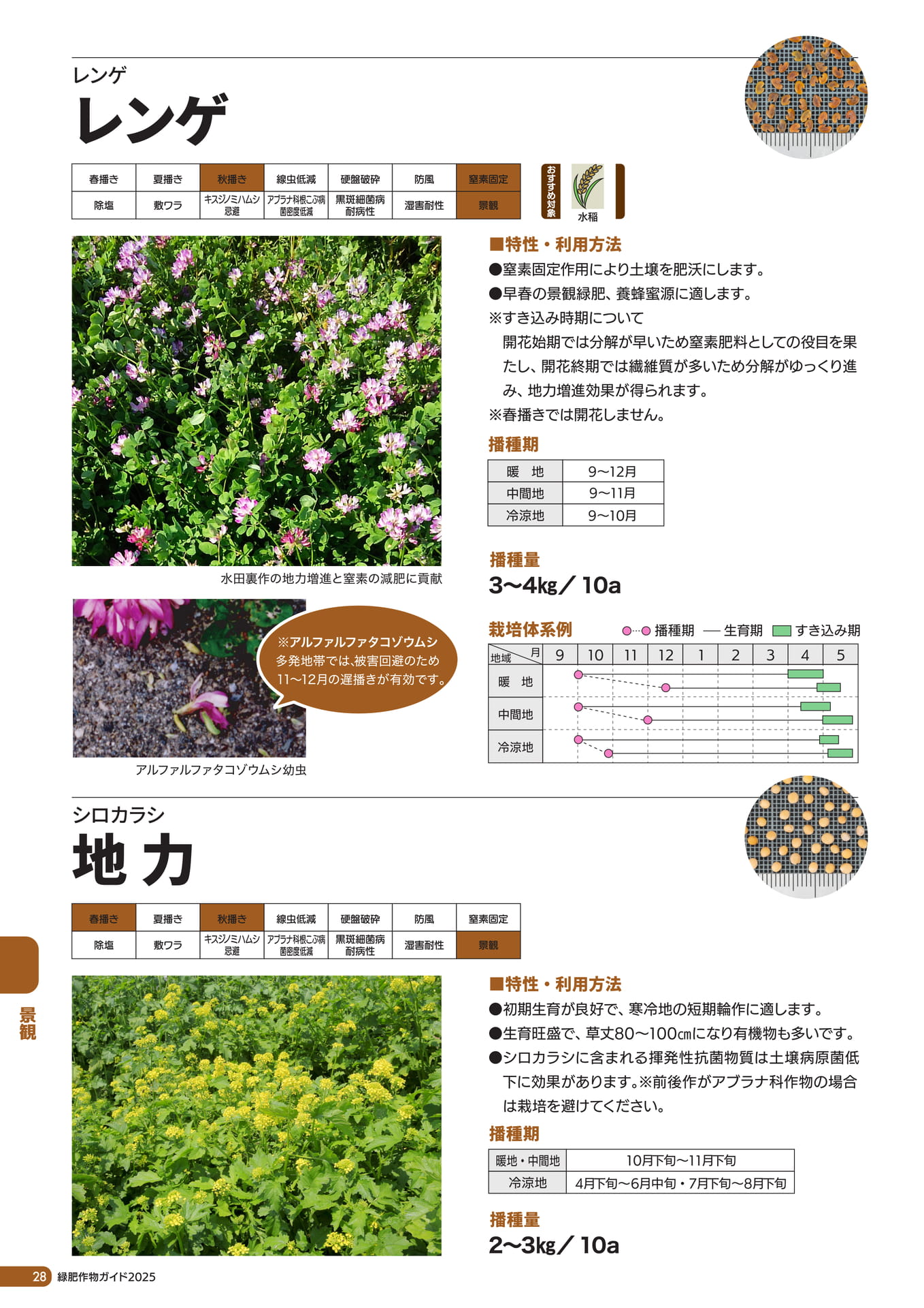 Page 29（30ページ目）