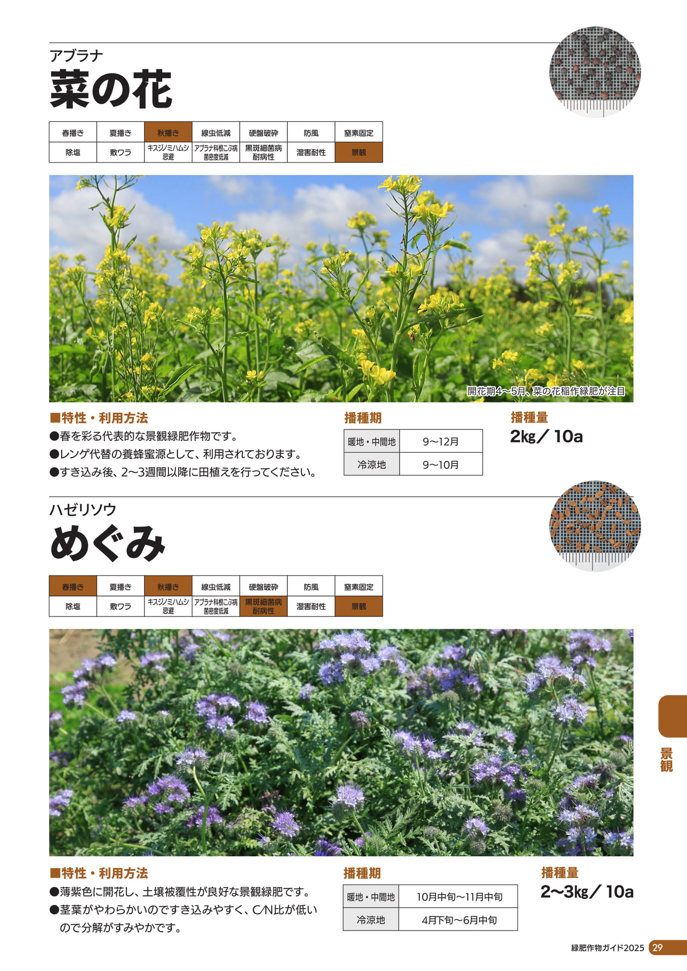 Page 30（31ページ目）