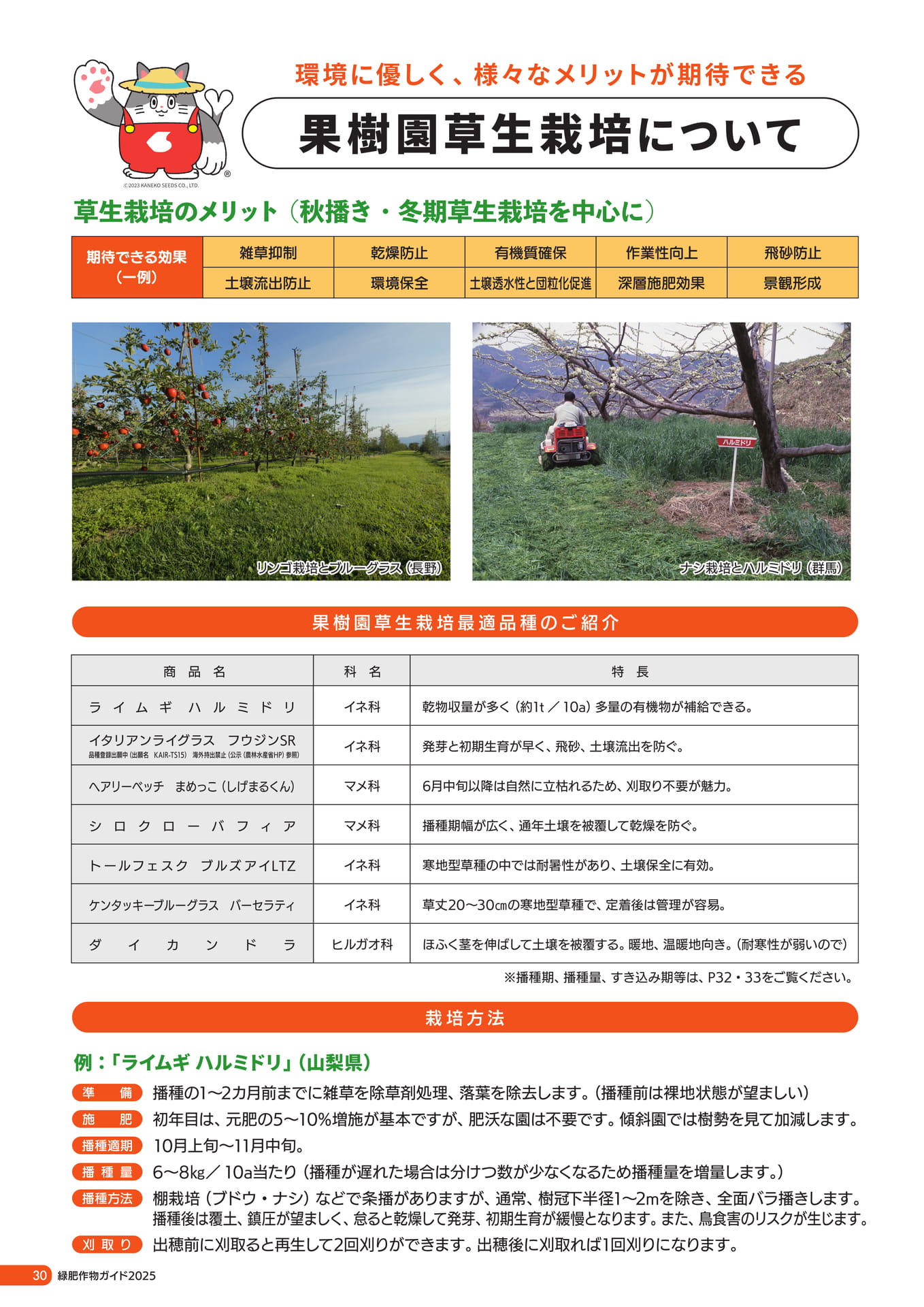 Page 31（32ページ目）