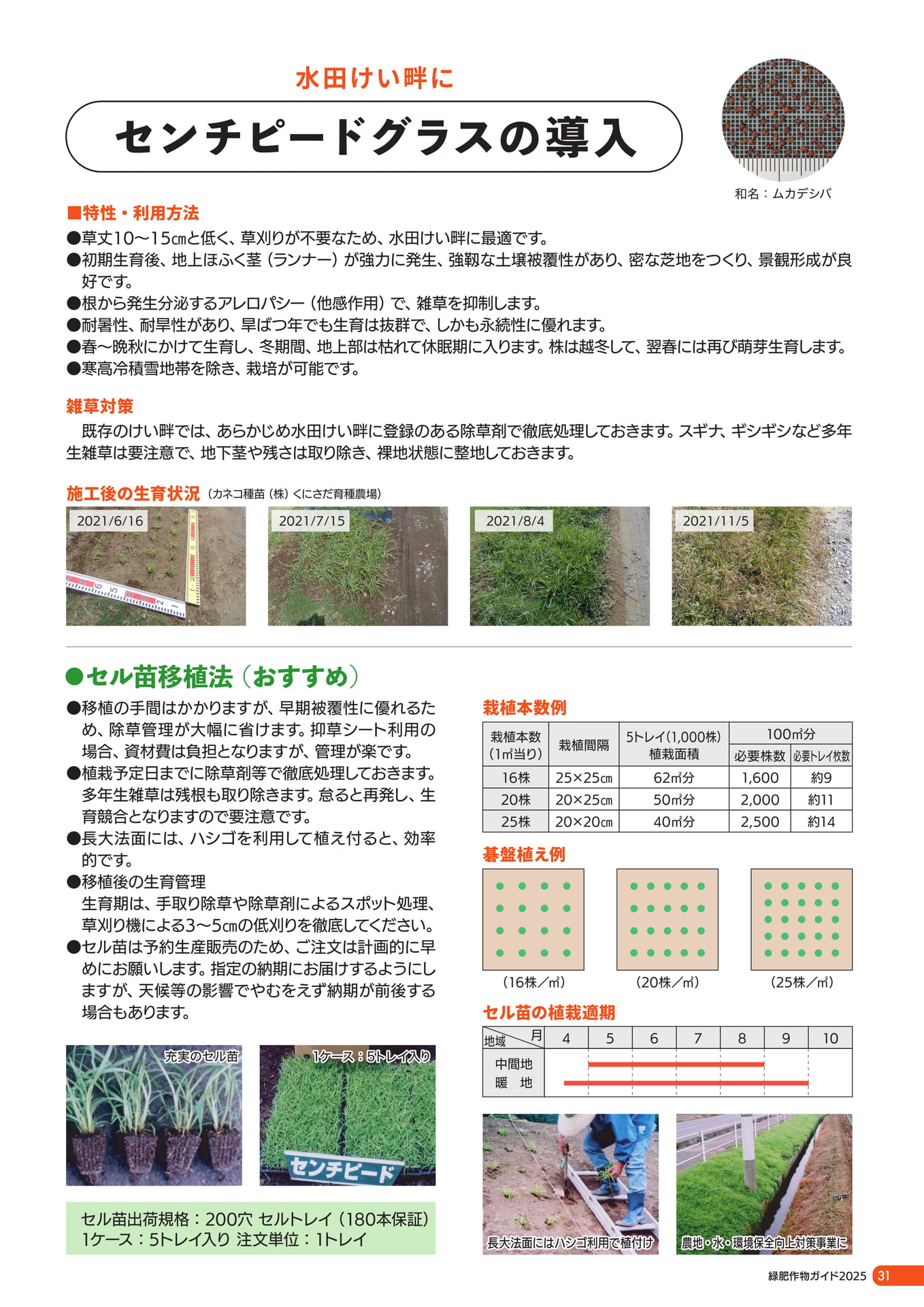 Page 32（33ページ目）