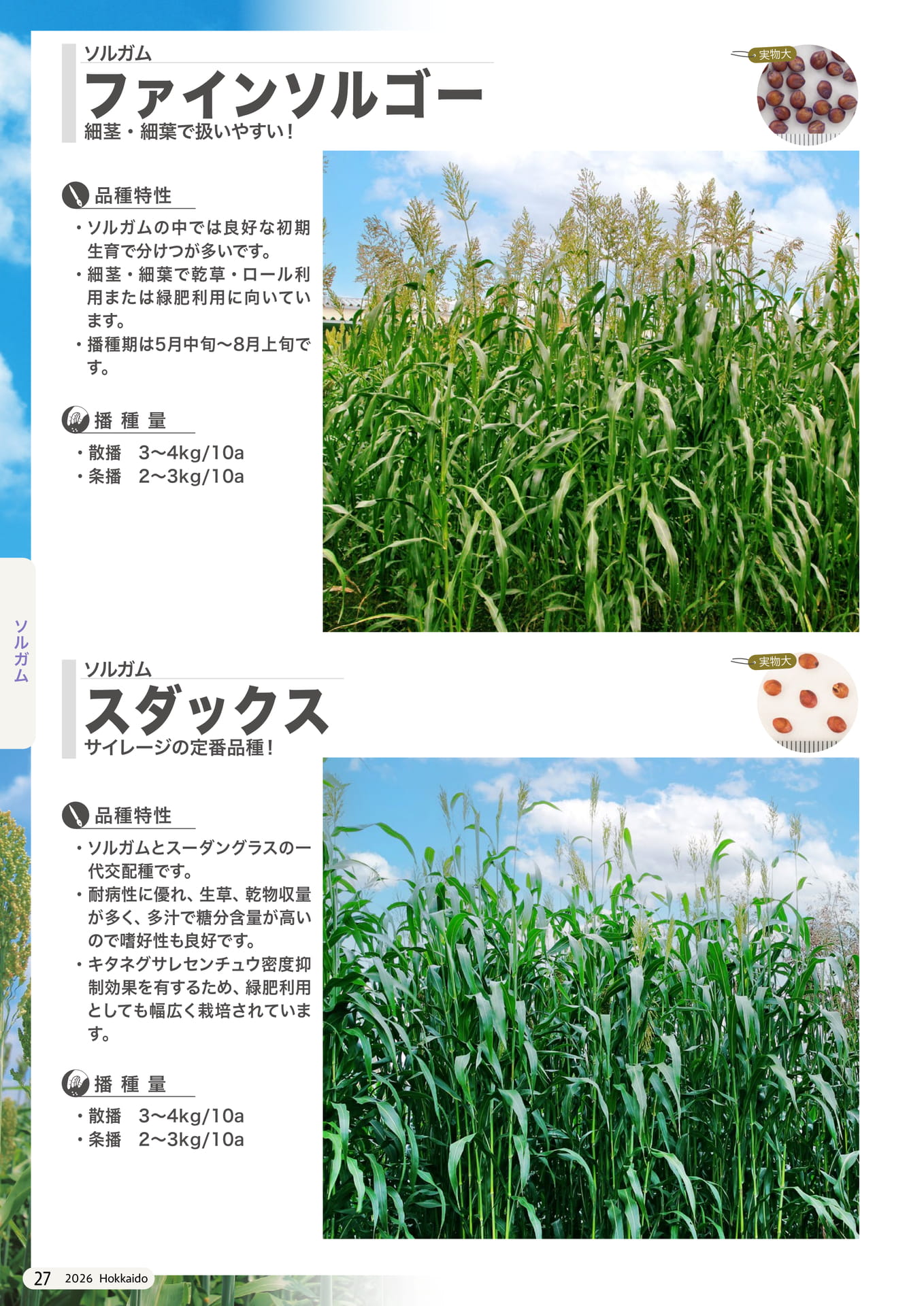 Page 090(90ページ目)