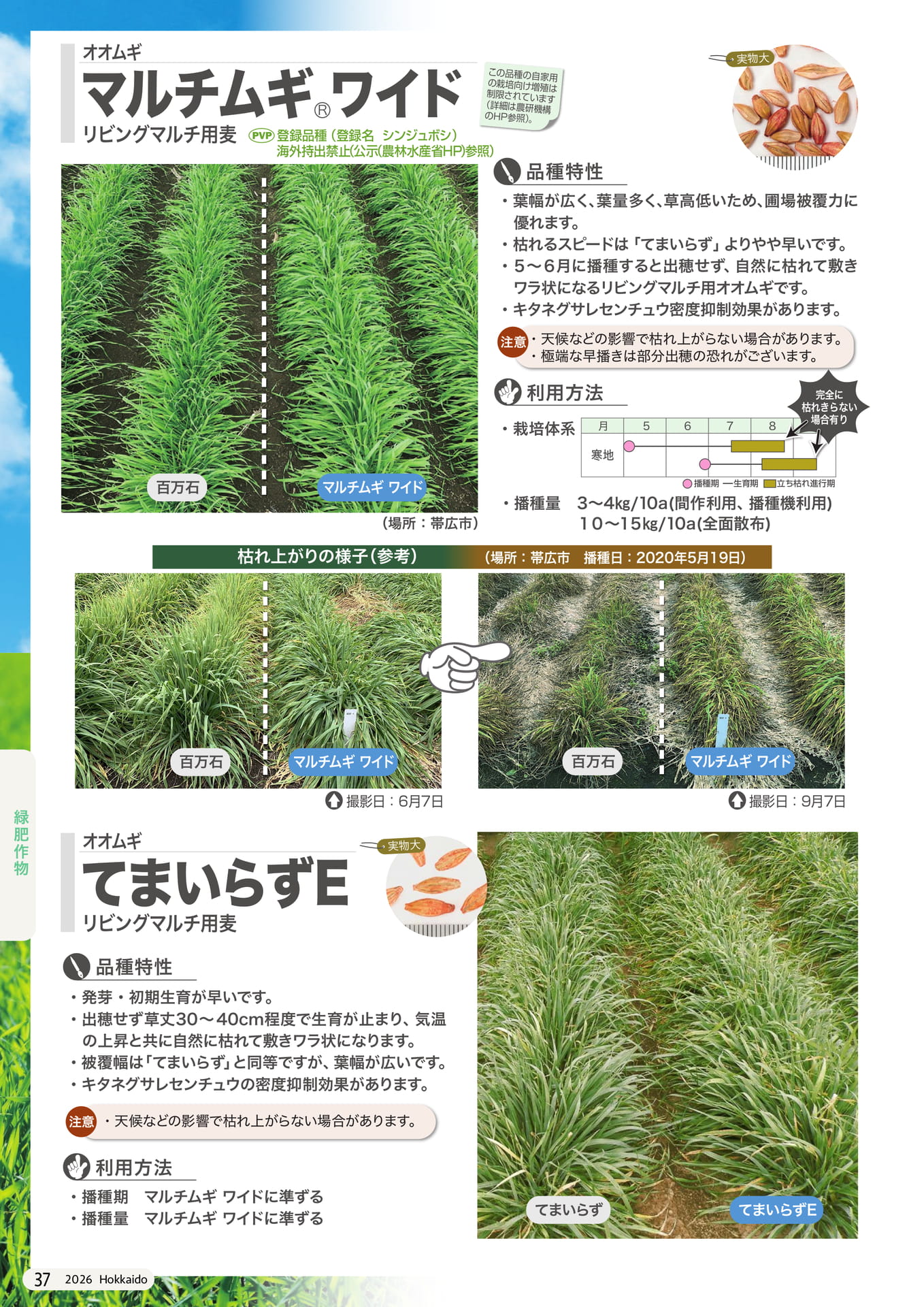 Page 100(100ページ目)