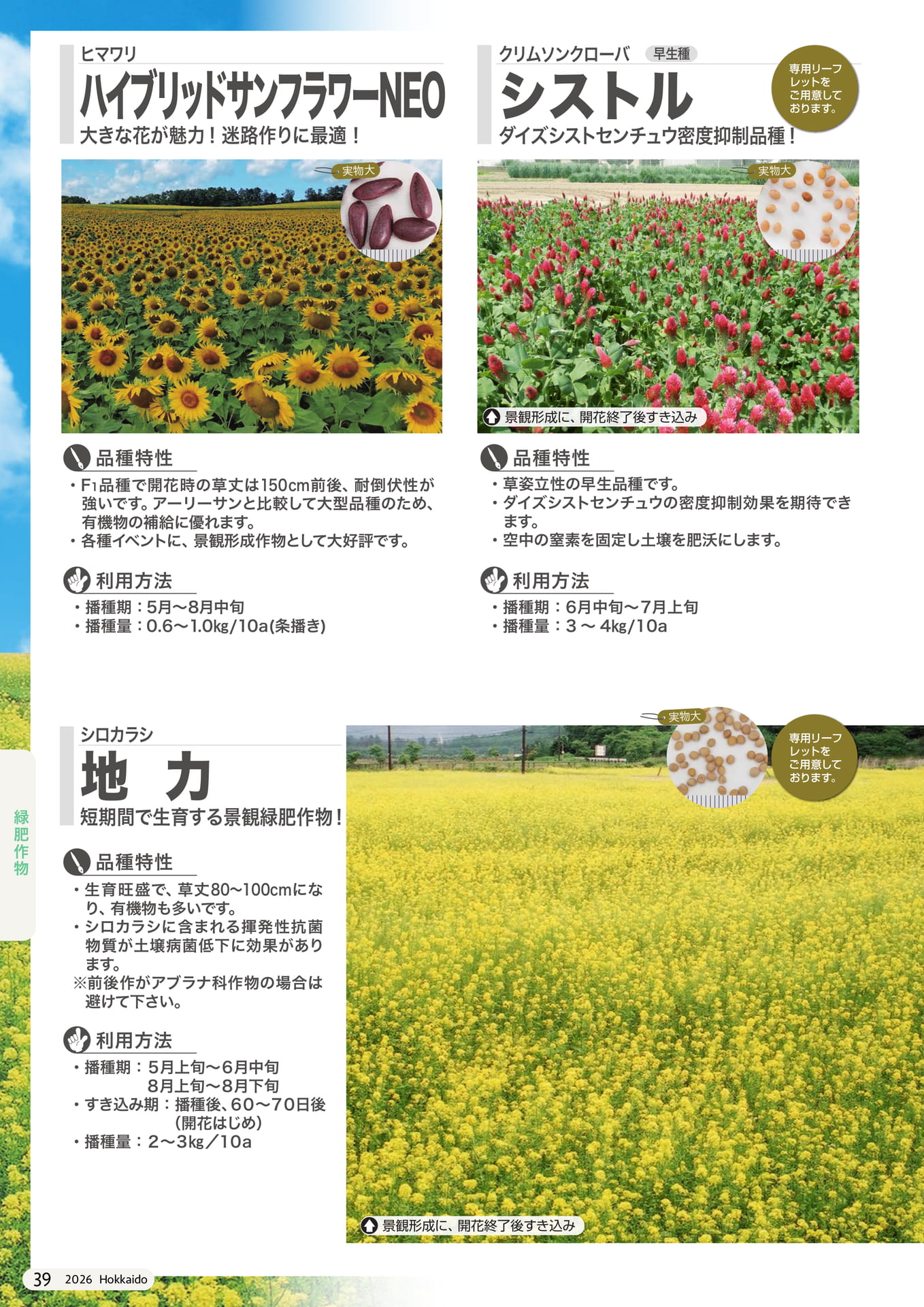 Page 102(102ページ目)