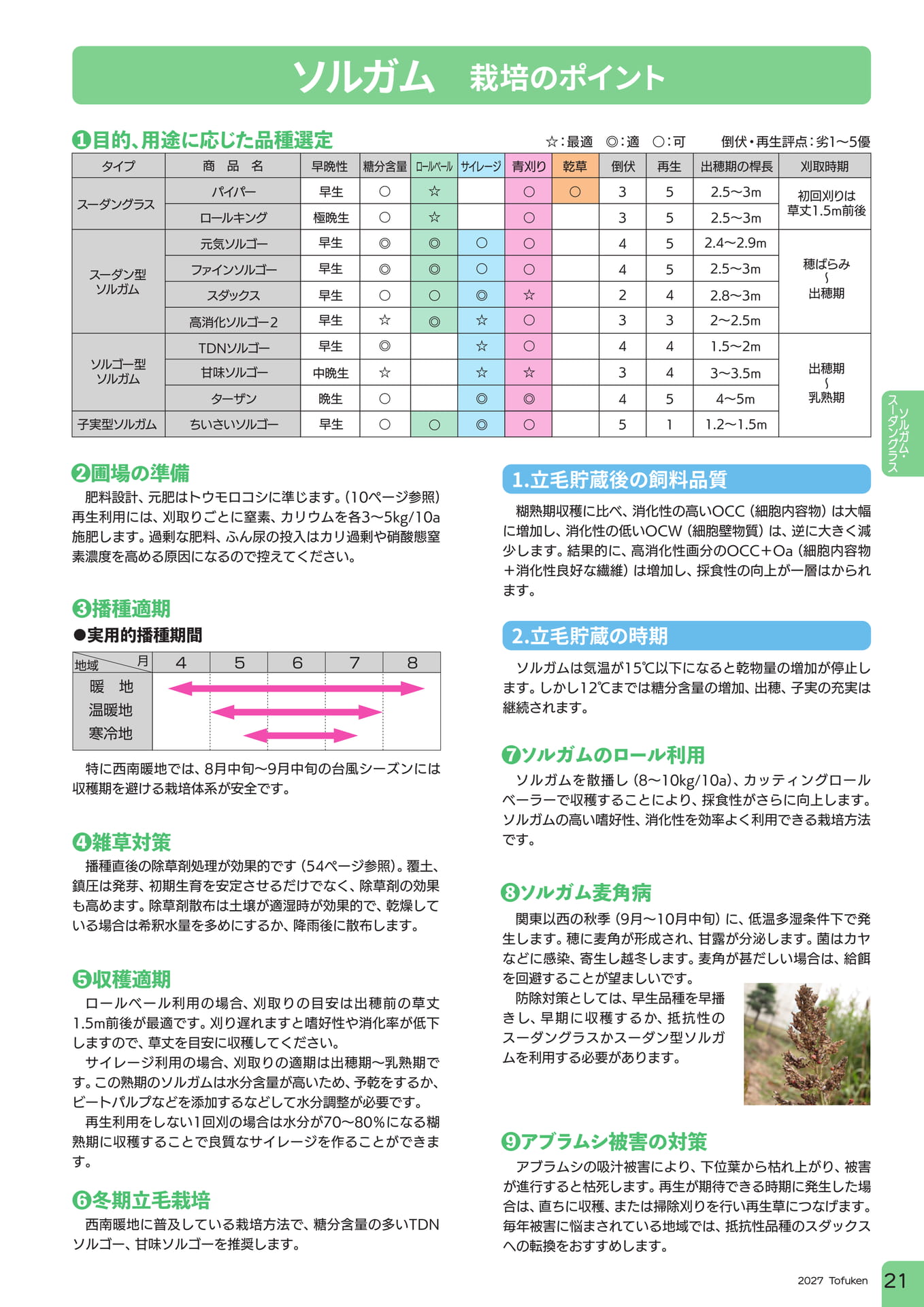 ページ（23ページ目）