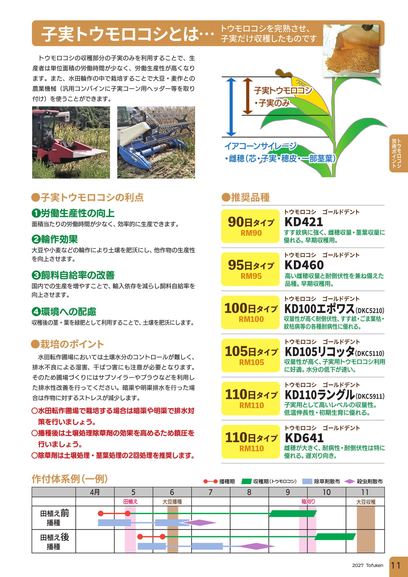 ページ（13ページ目）