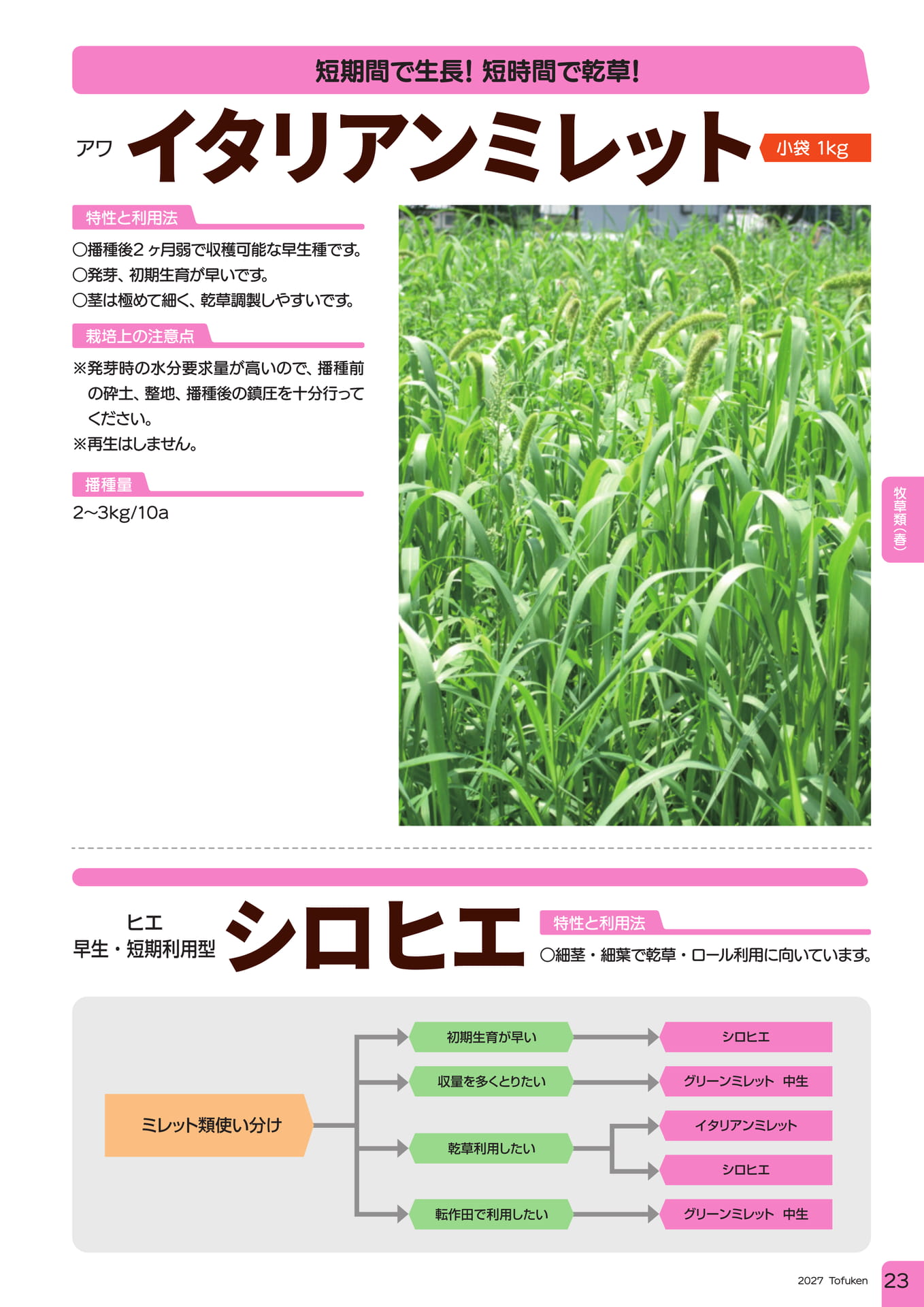 ページ（25ページ目）