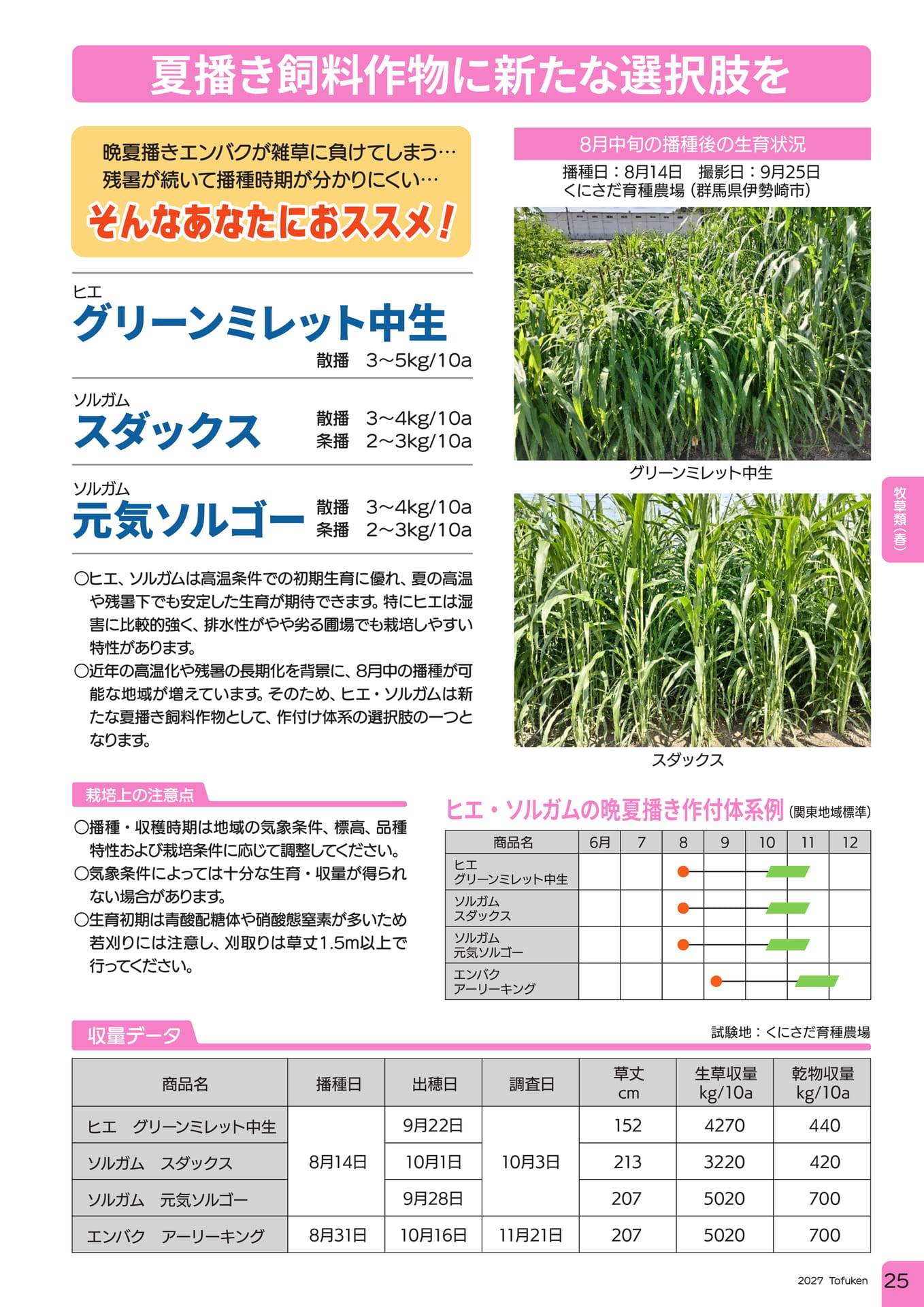 ページ（27ページ目）
