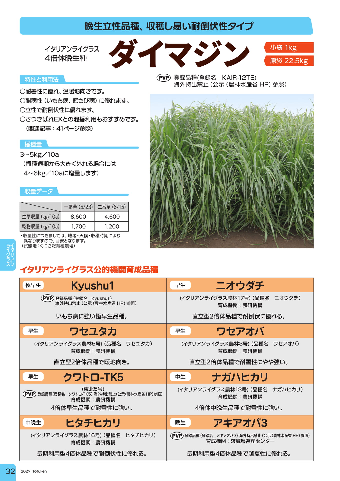 ページ（34ページ目）