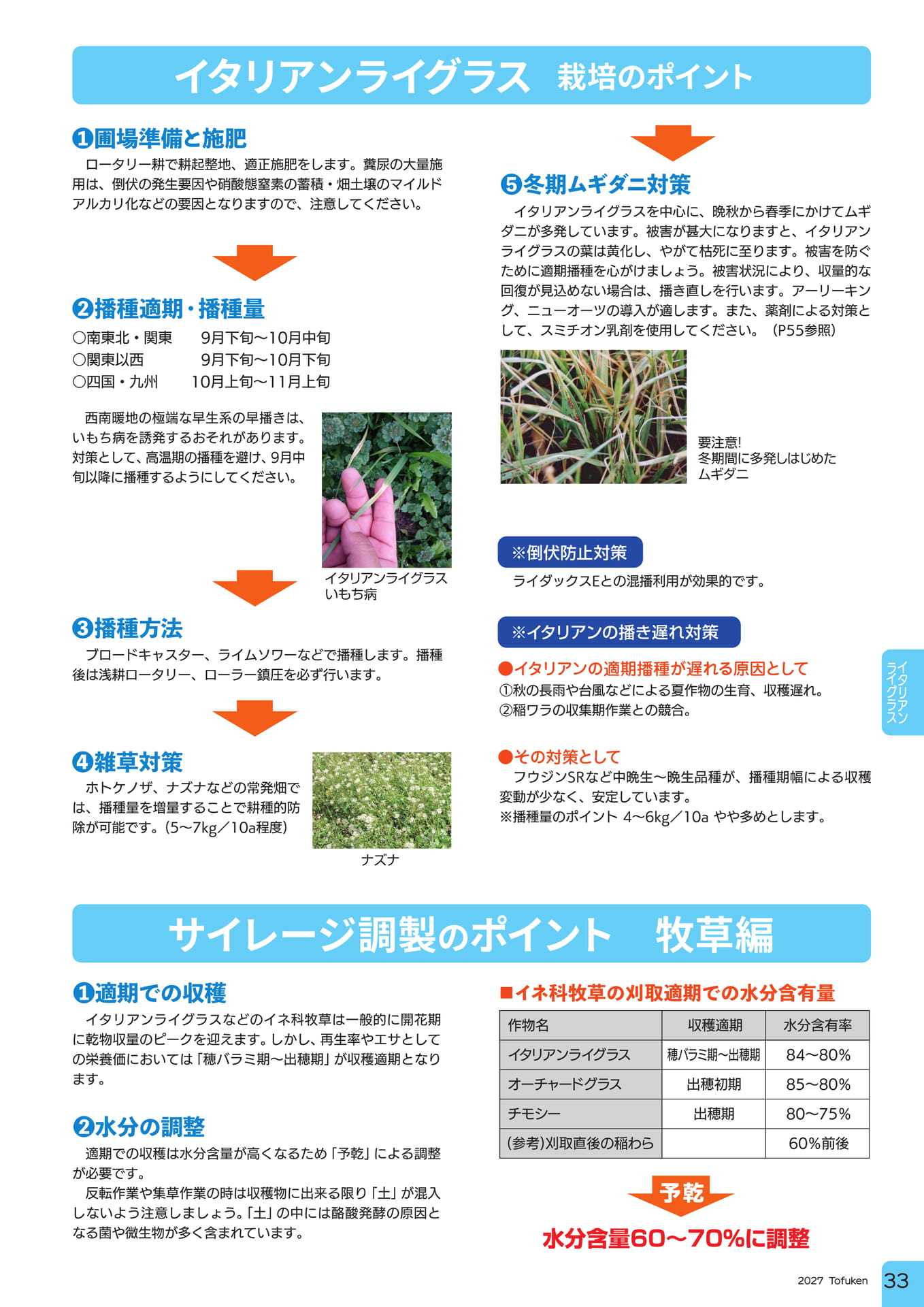 ページ（35ページ目）
