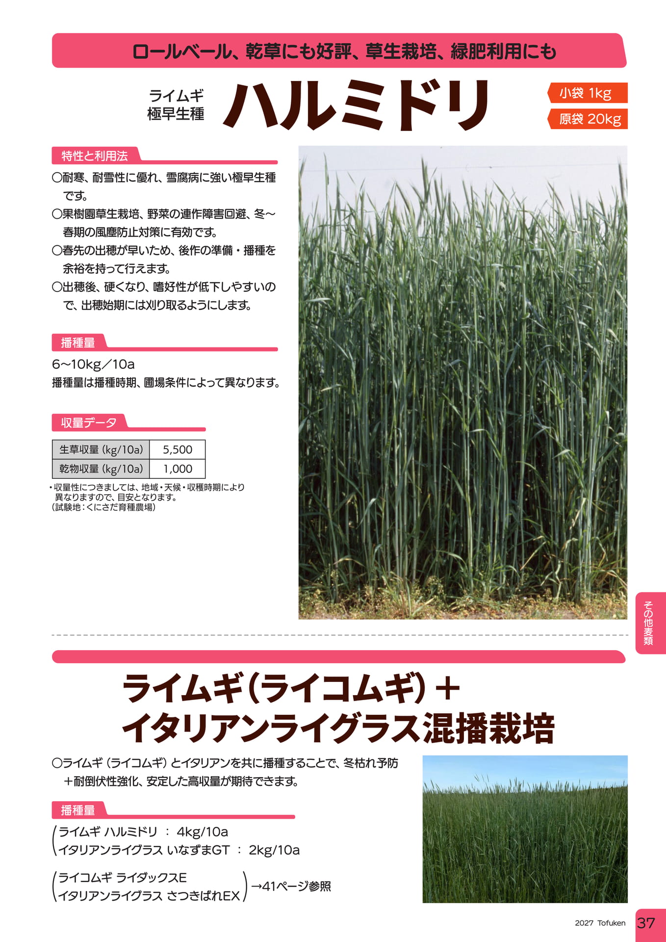 ページ（39ページ目）