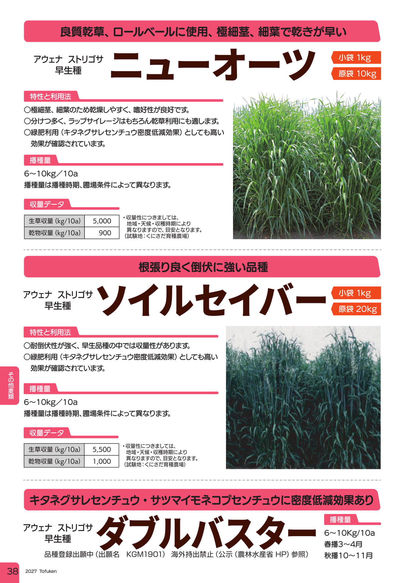 ページ（40ページ目）