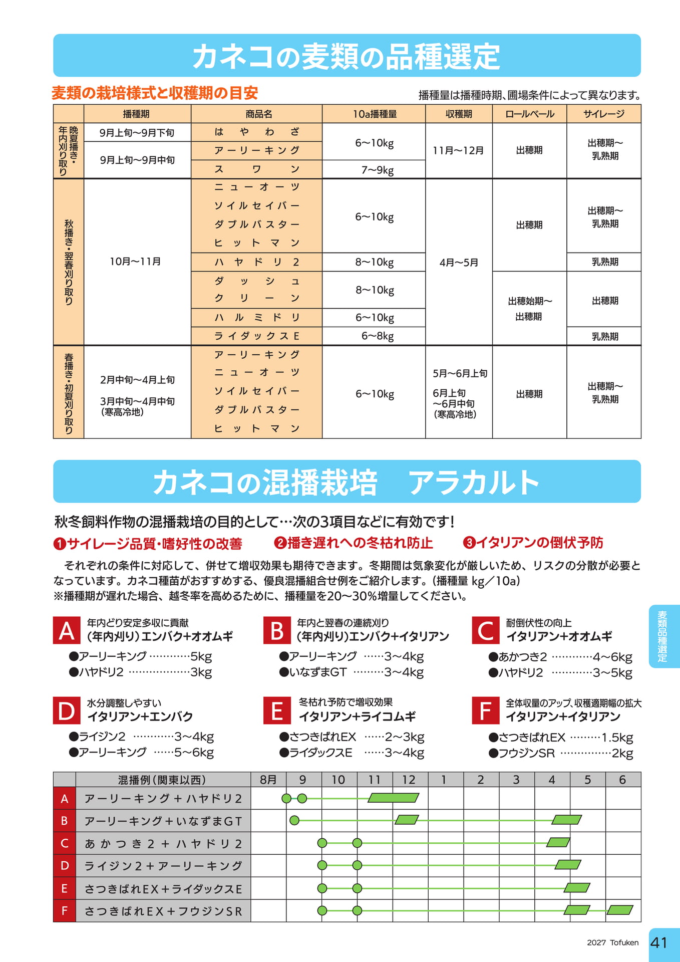 ページ（43ページ目）