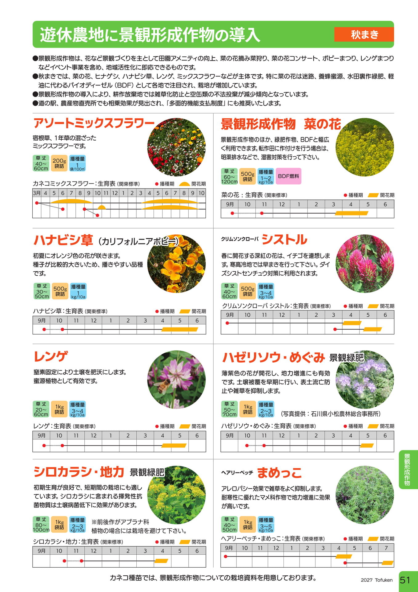 ページ（53ページ目）