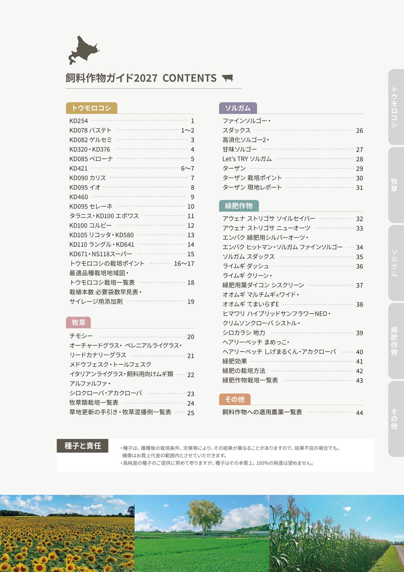ページ（63ページ目）