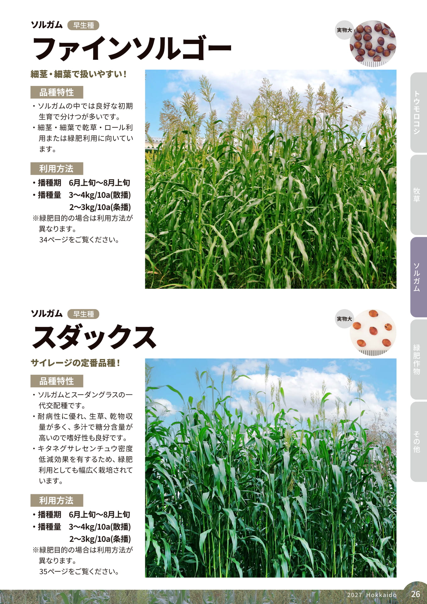 ページ（89ページ目）