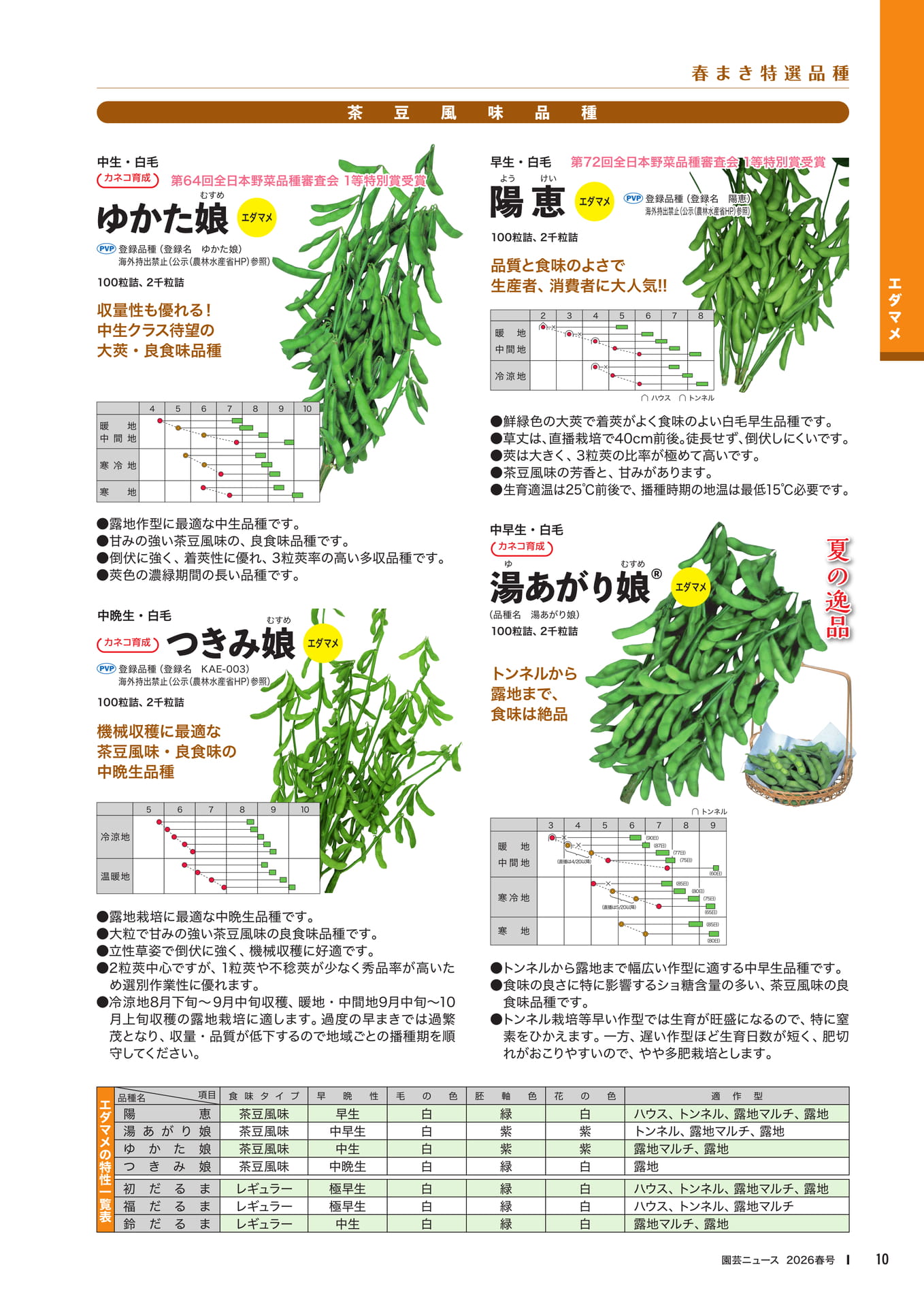 Page 12(12ページ目)