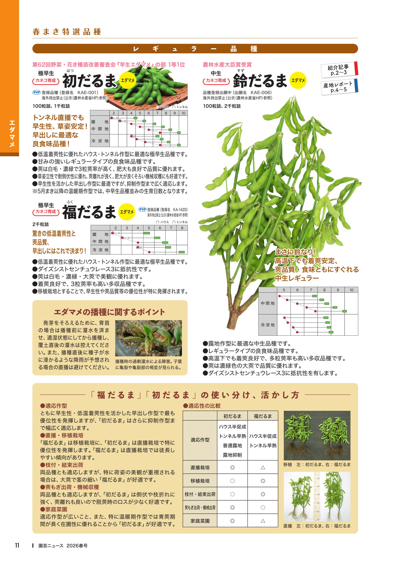 Page 13(13ページ目)