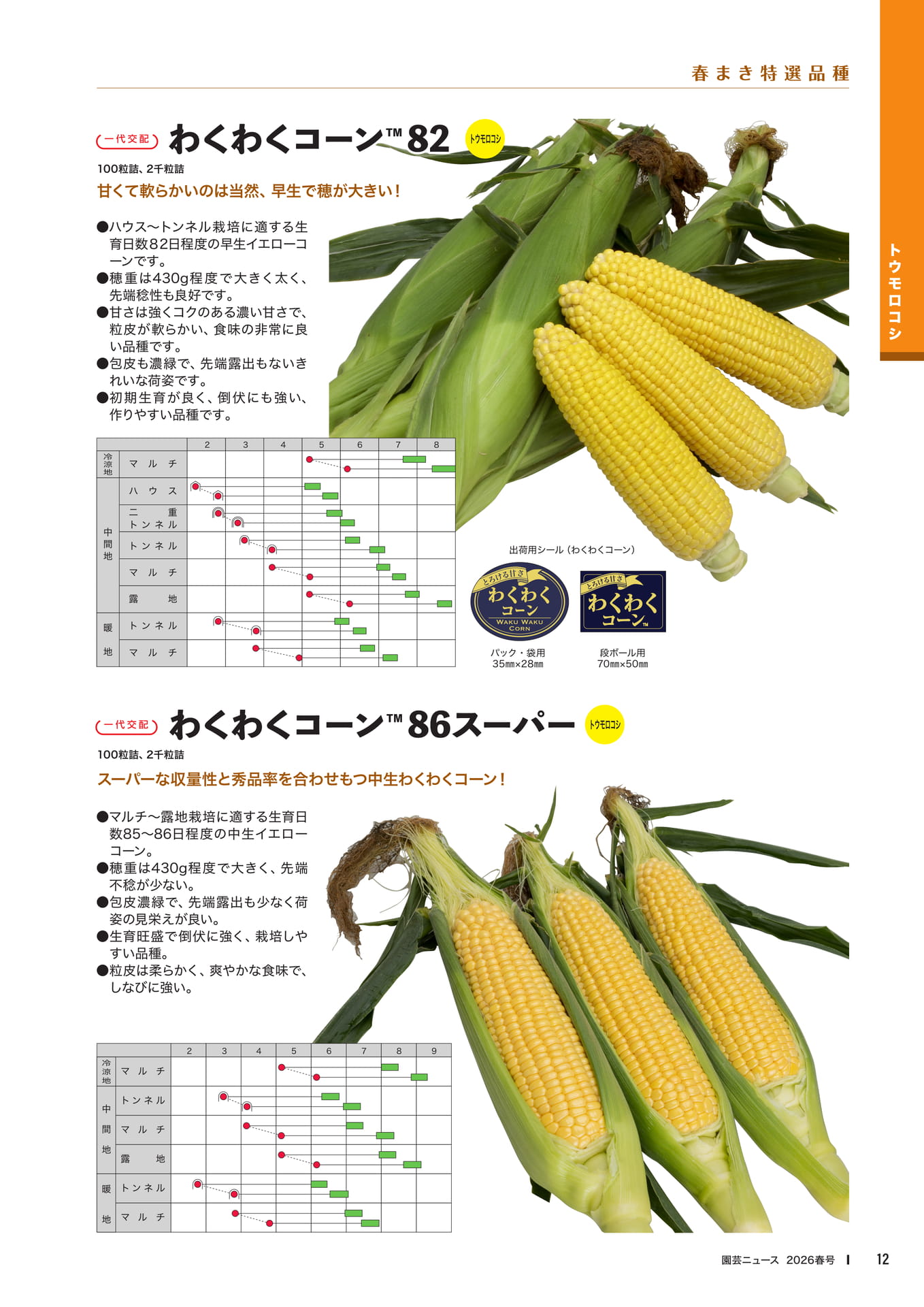 Page 14(14ページ目)