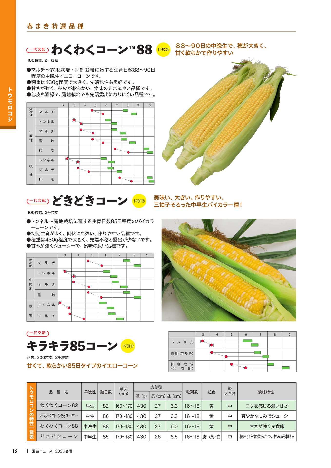 Page 15(15ページ目)