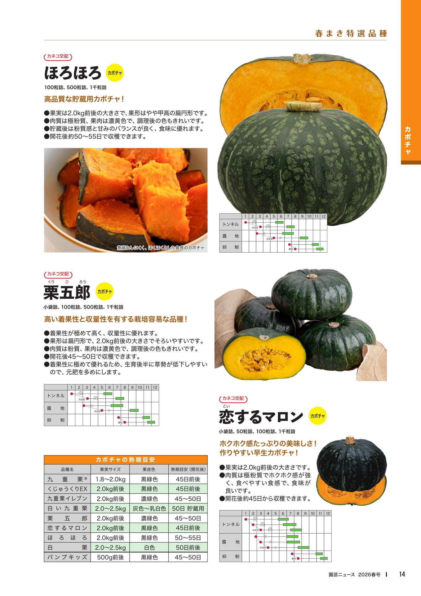 Page 16(16ページ目)