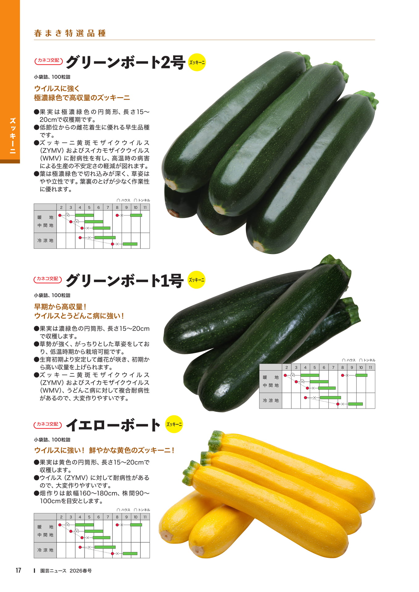 Page 19(19ページ目)