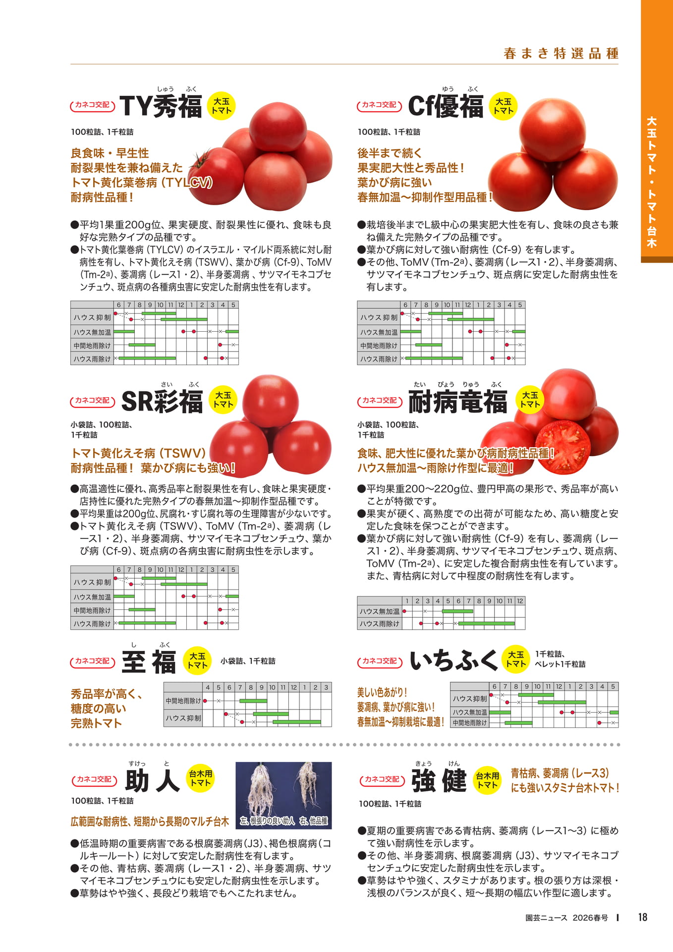 Page 20(20ページ目)